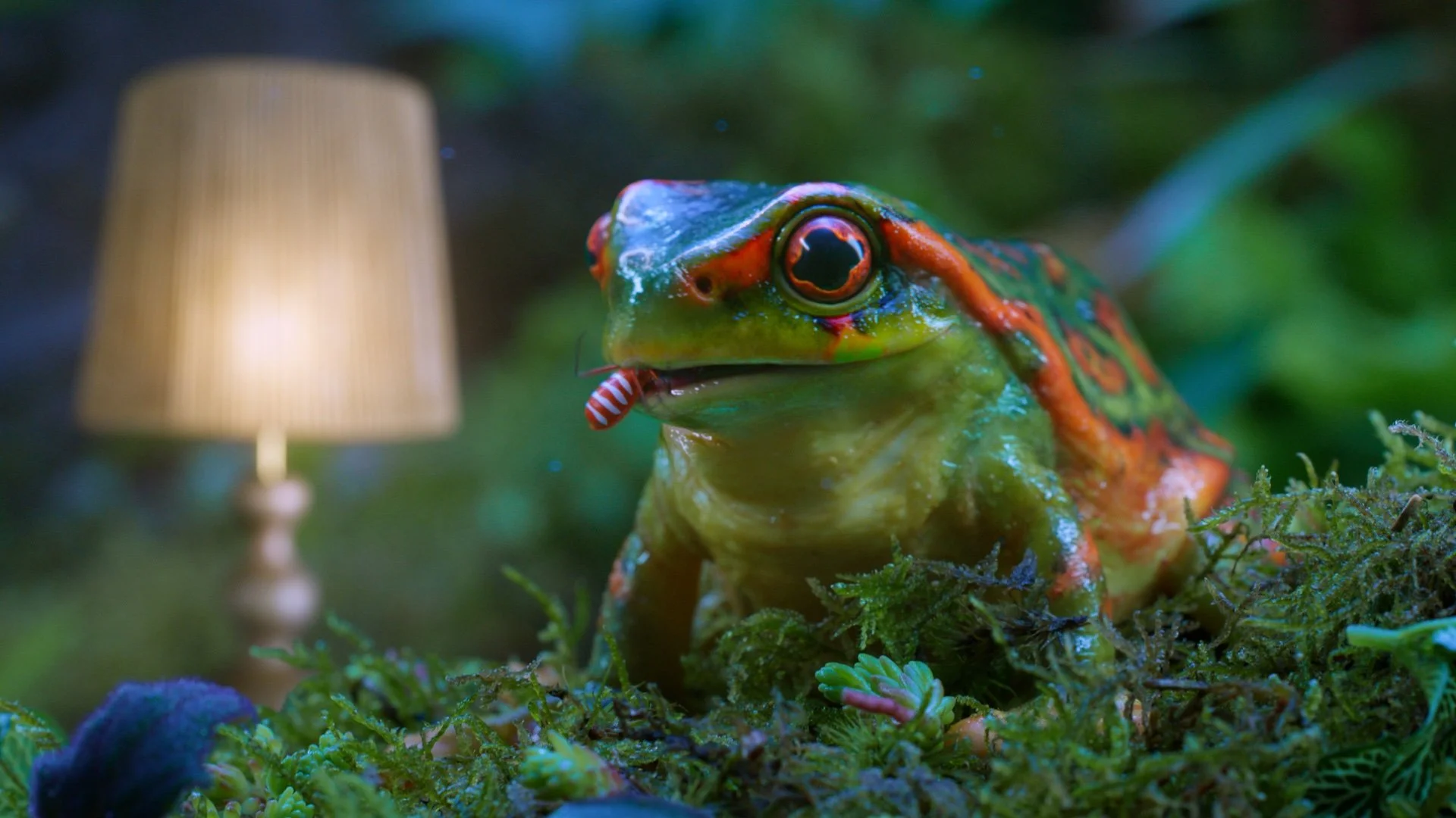 DFS_Animals_Still_v06.jpg