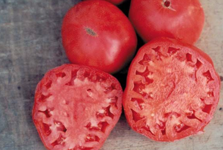 Screen Shot 2020-04-21 at 6.34.29 PM.png