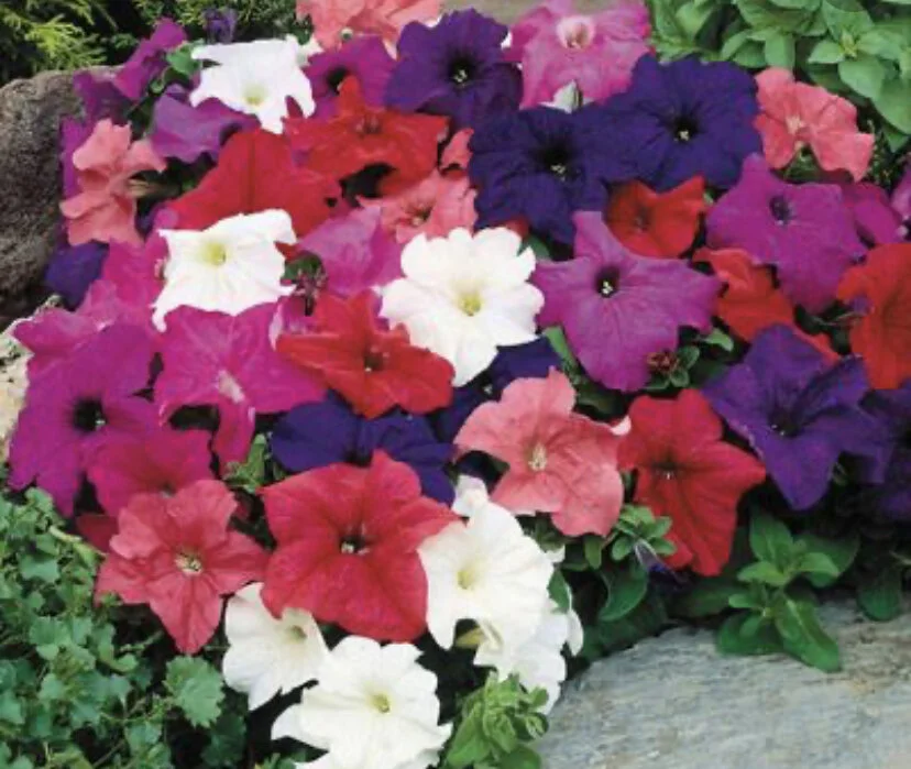 CC8966DE-59A0-40EB-BC26-CE824BE3084E