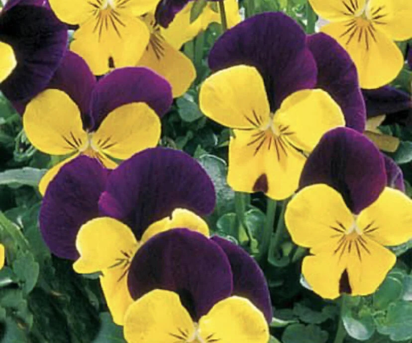 3F84601C-C0FF-40BE-A963-B56CEF7844F0