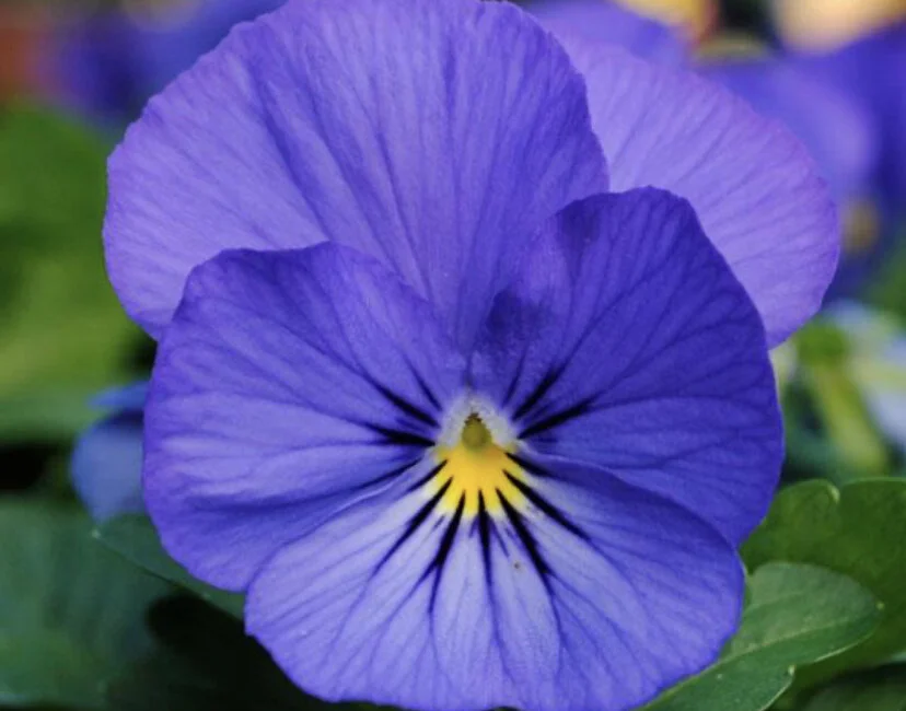 24CEC2E2-6B49-4E5C-8F1A-53FE007B7D09