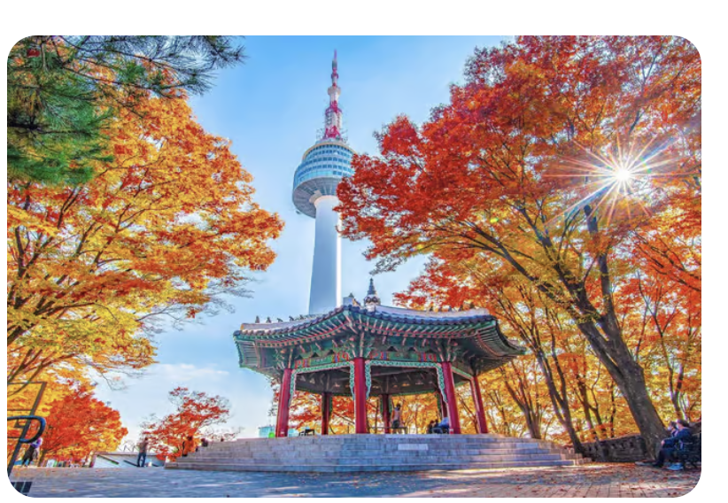 Screen Shot 2026-04-21 at 22.31.18.png