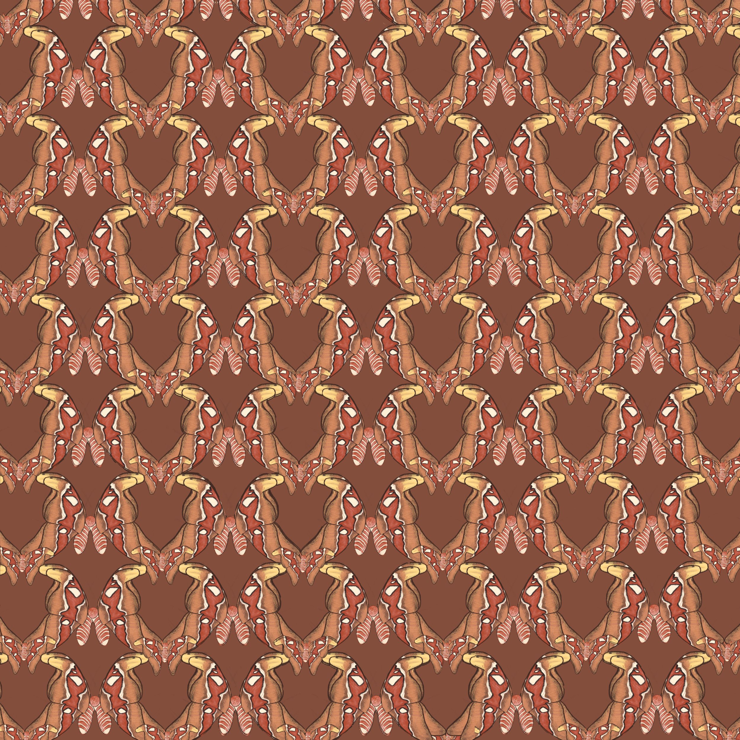 Garden_At_Dusk_Secondary_Moth.jpg