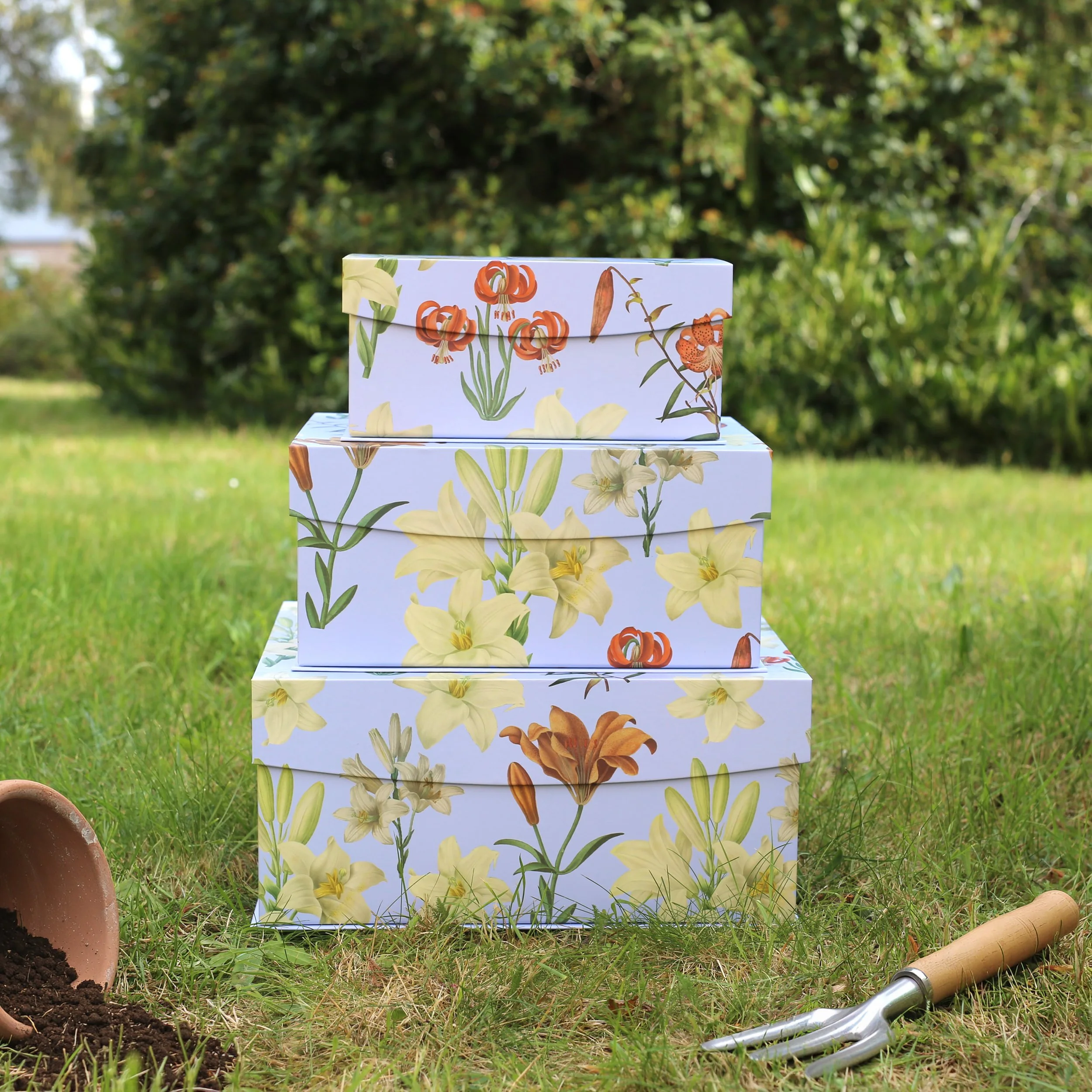 Trio Tulip boxes.jpg