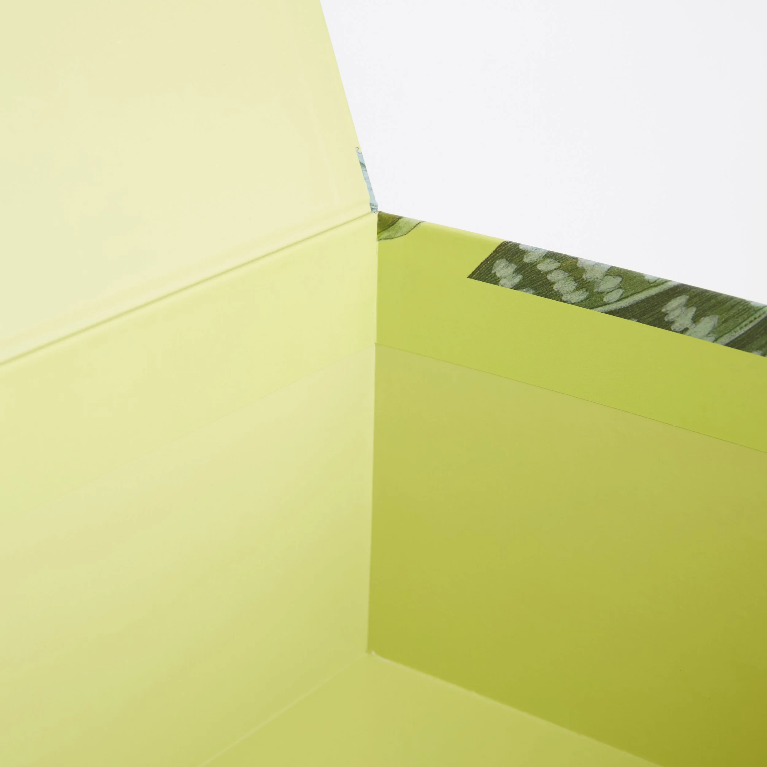 RHS-246204-5.jpg