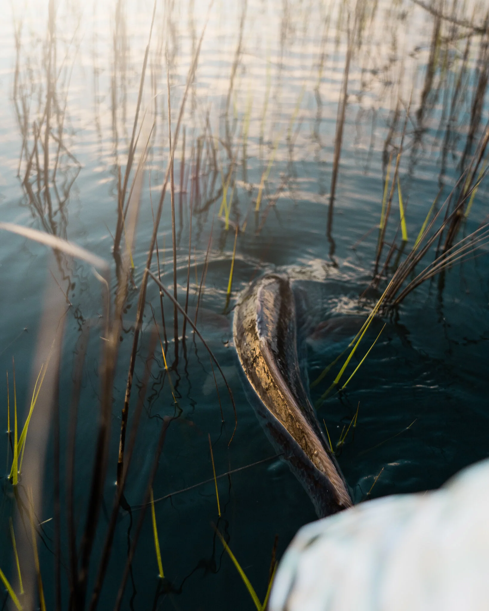 20190515-_A731090-Edit.jpg