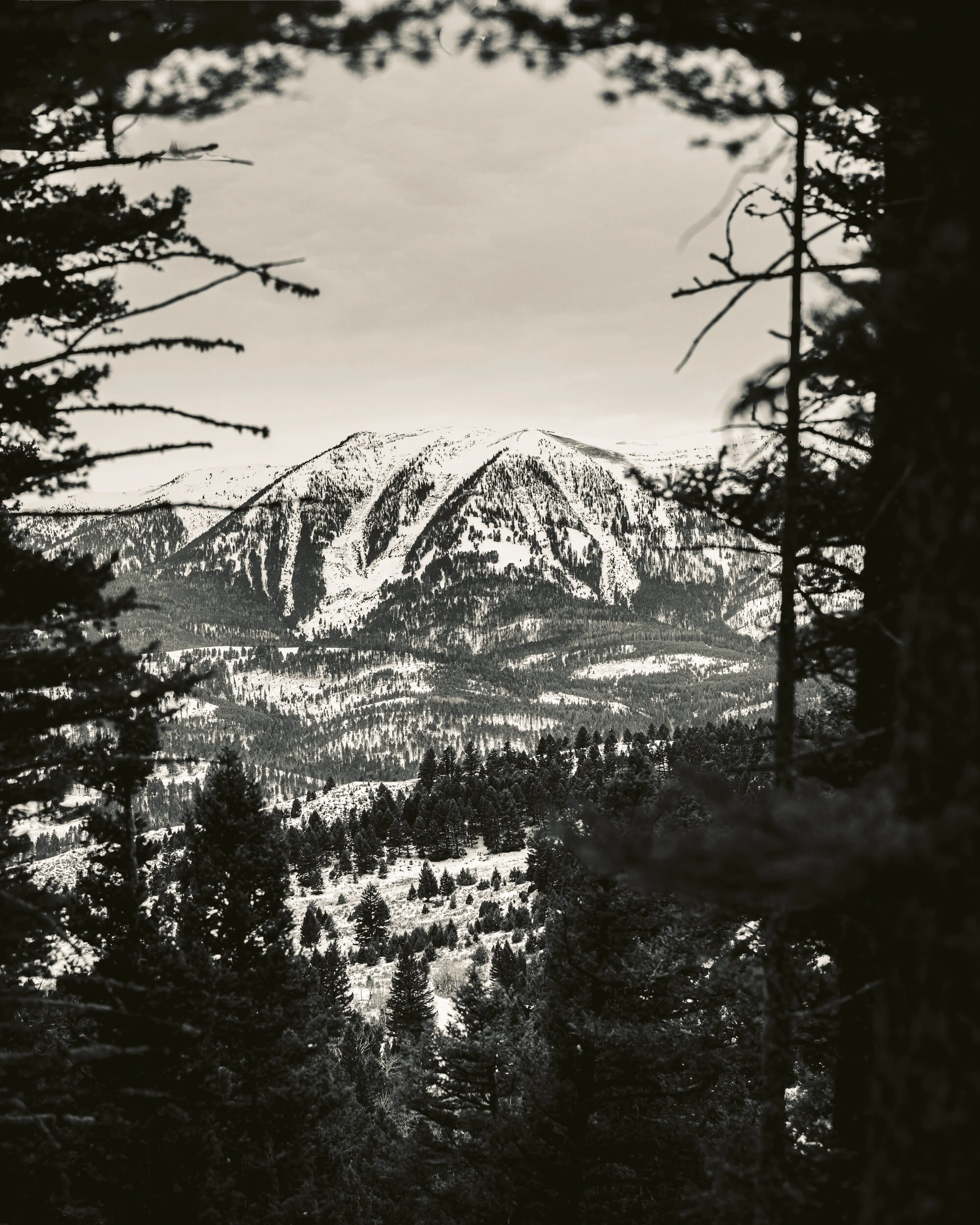montanatime.jpg