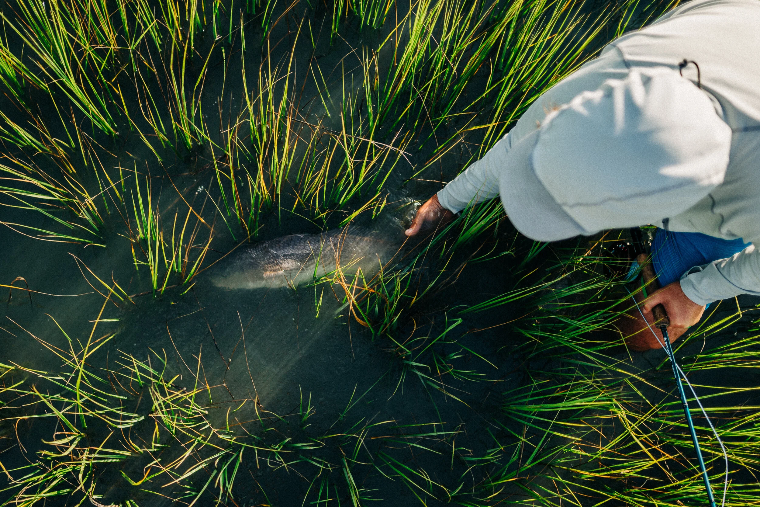 flood tides 2019-27.jpeg