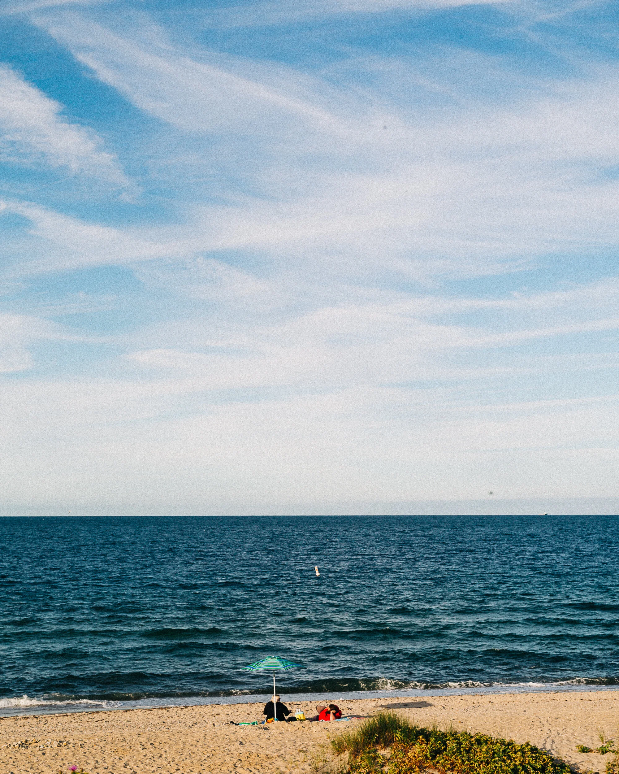 marthasvineyard_builder-6.jpg