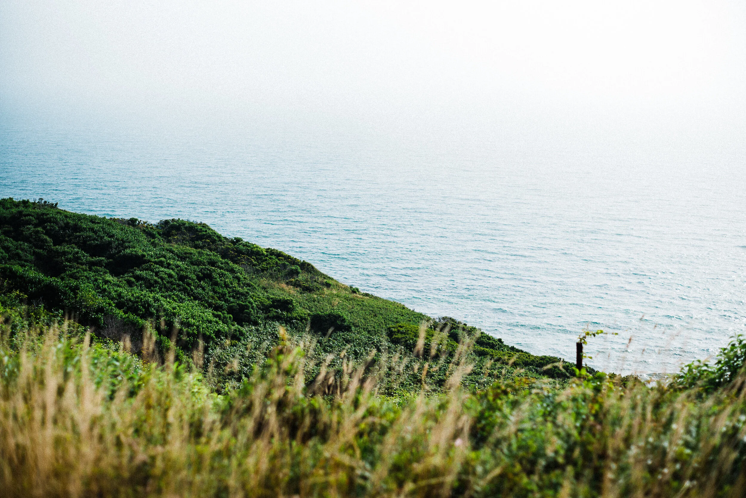 marthasvineyard_builder-43.jpg