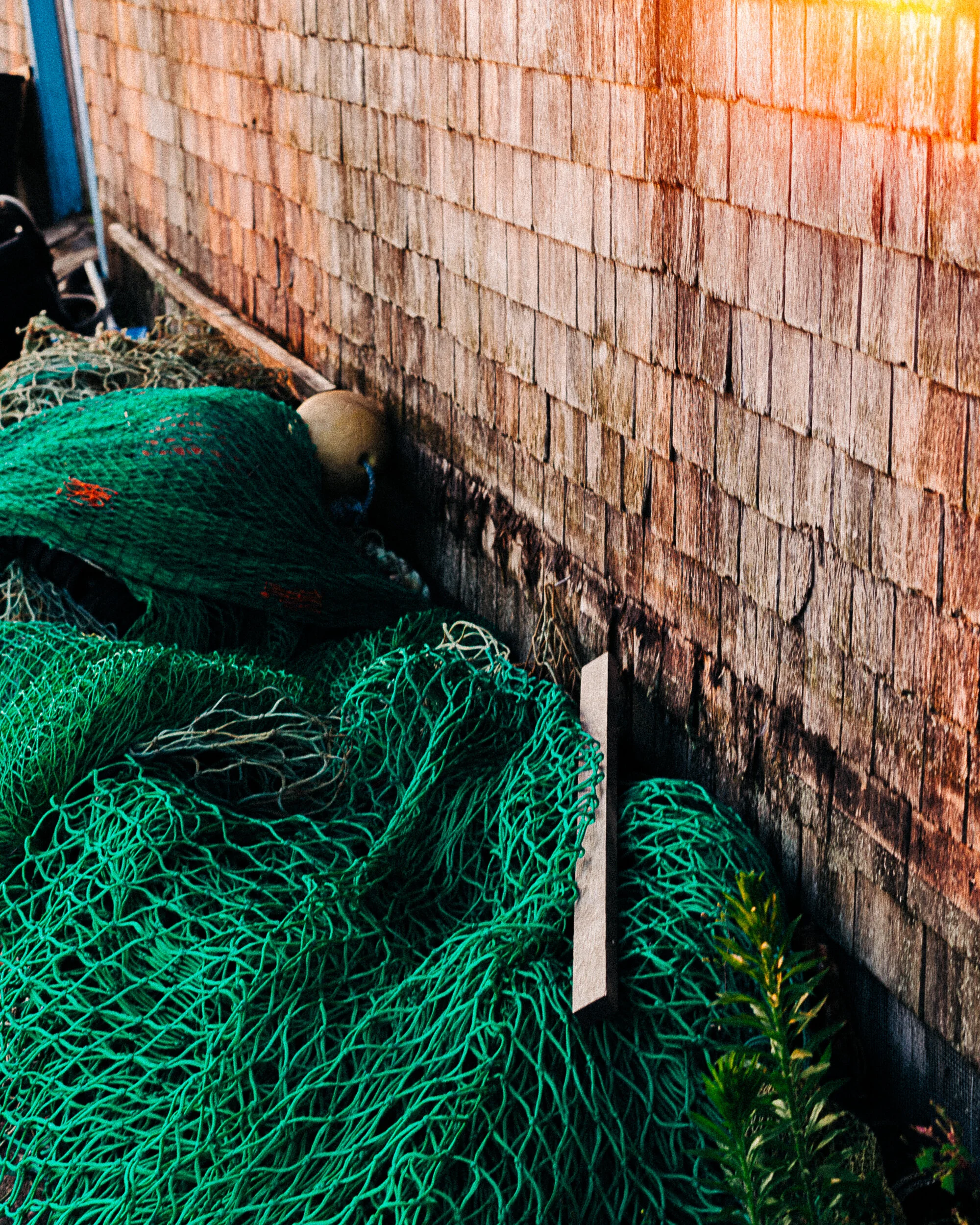 marthasvineyard_builder-51.jpg