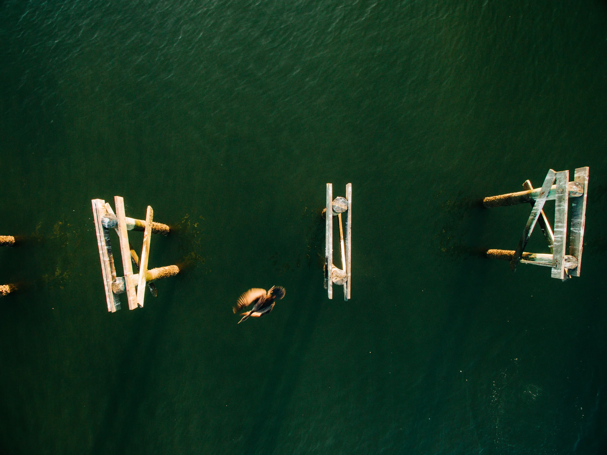 DJI_0177.jpg