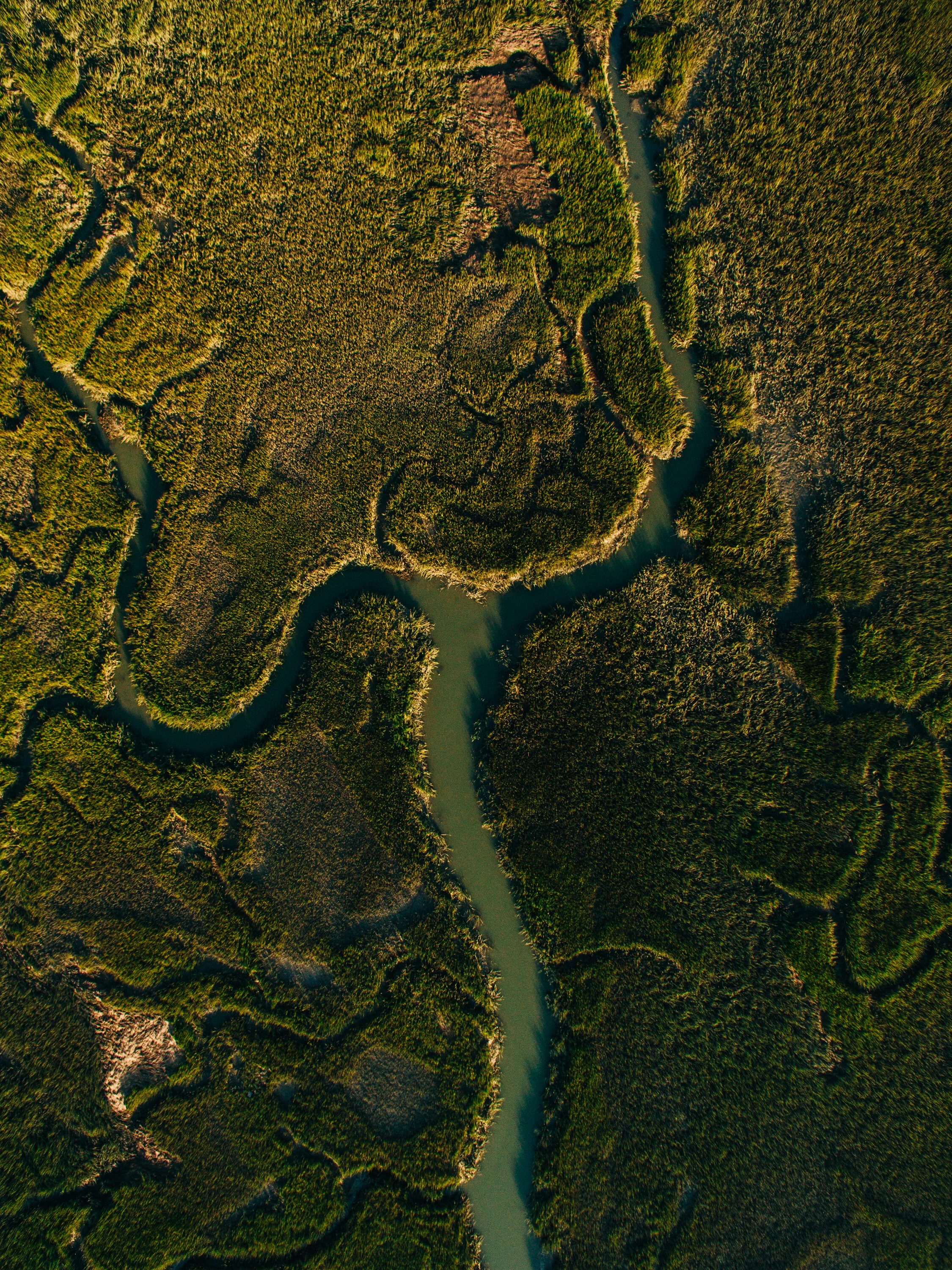 DJI_0115.jpg