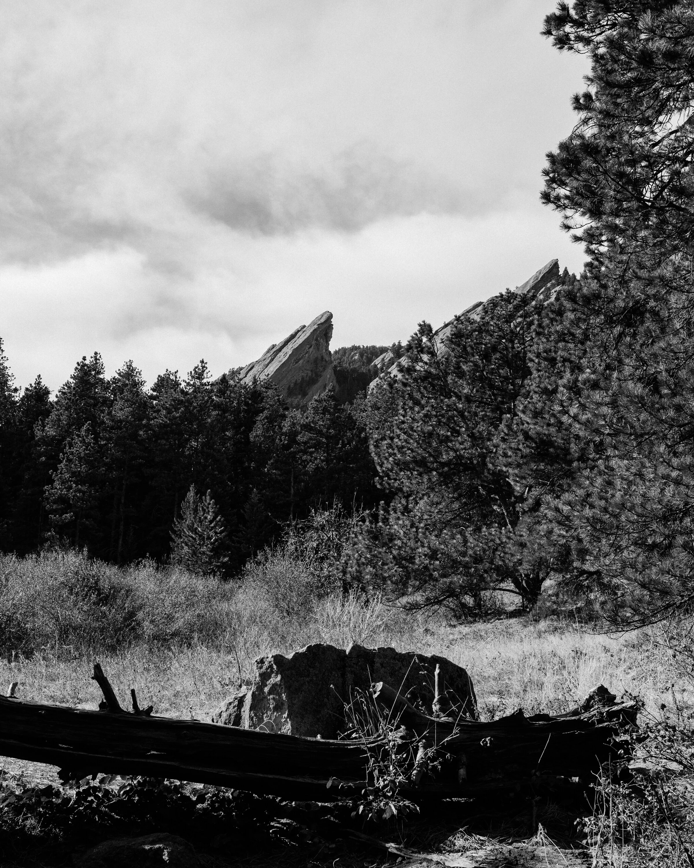 _A731221.jpg