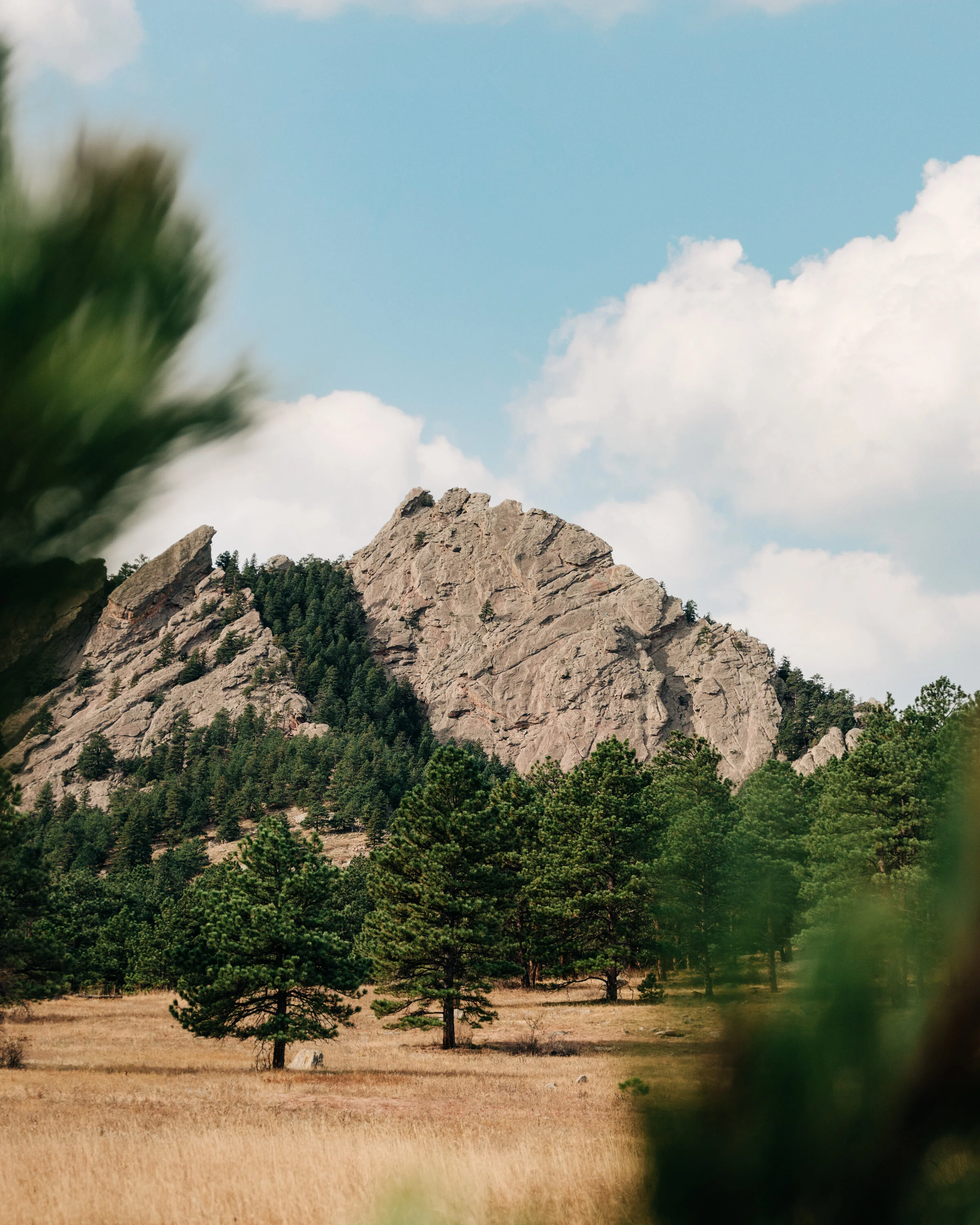 _A731299-Edit.jpg