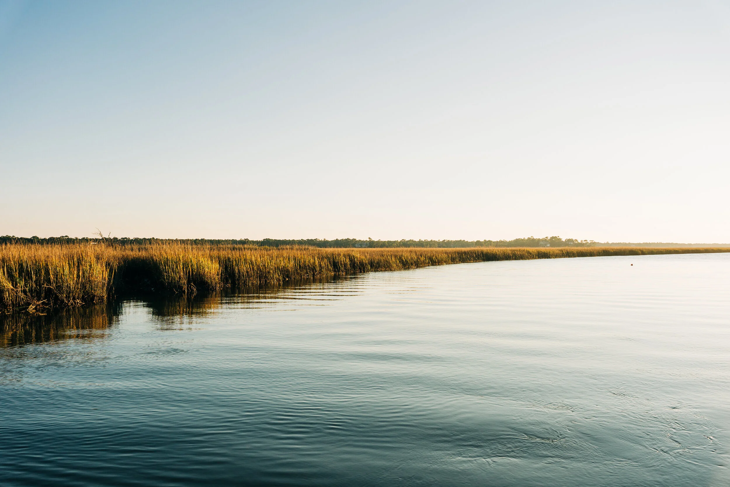 Kiawah Edge