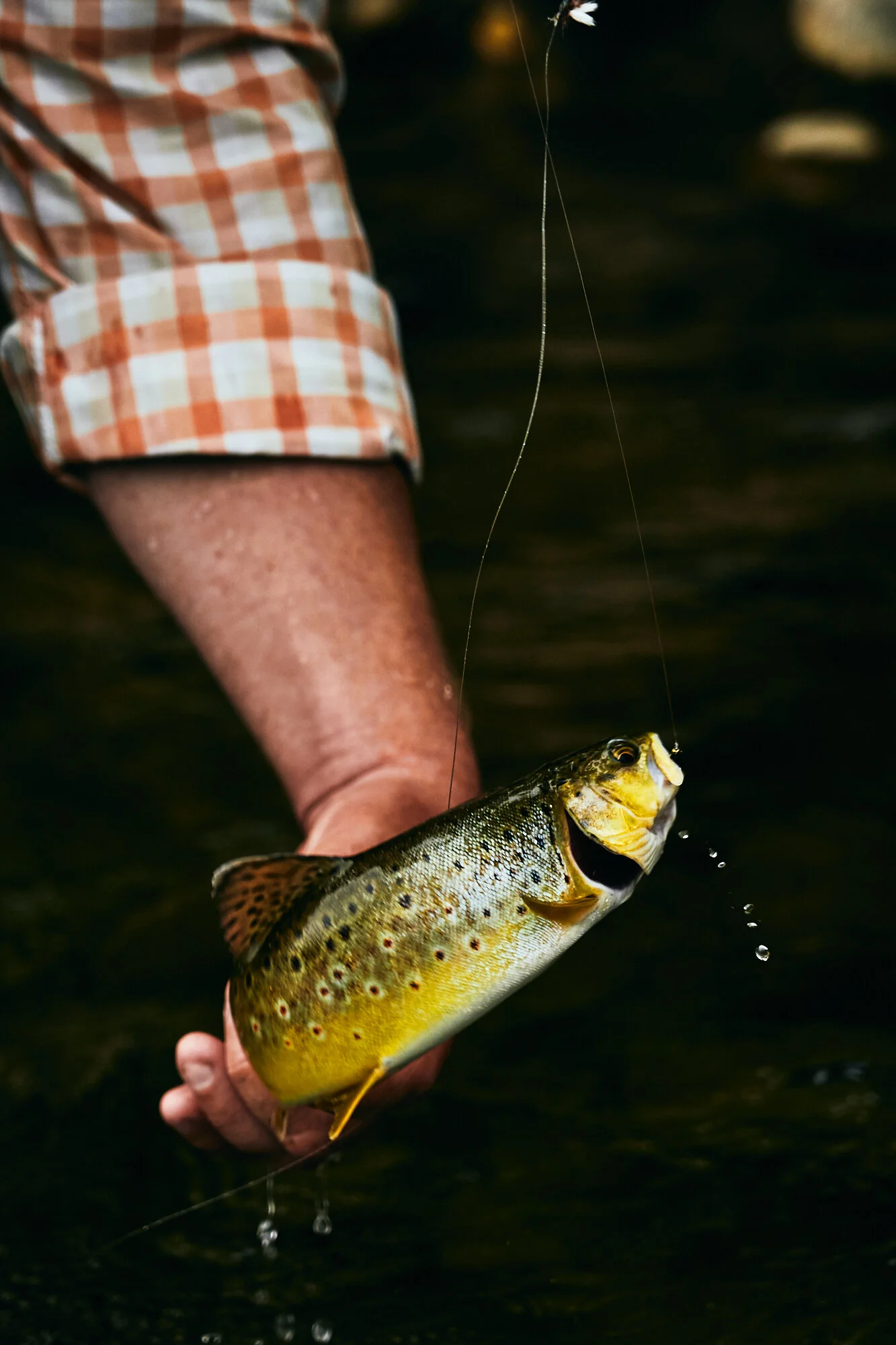20190719_Montana 93.jpg