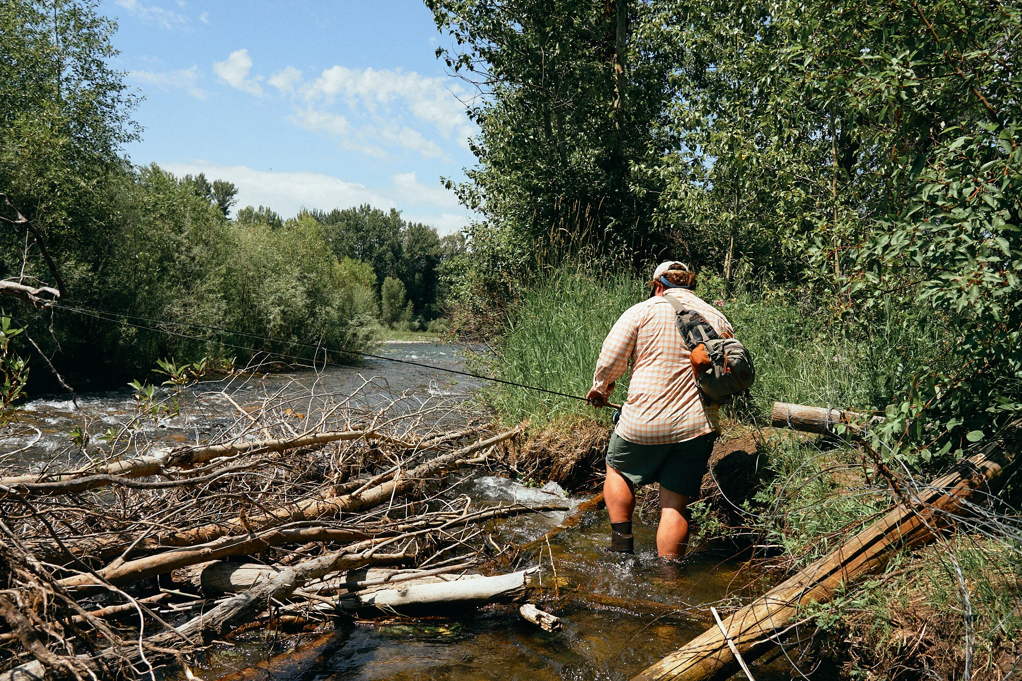 20190719_Montana 83.jpg
