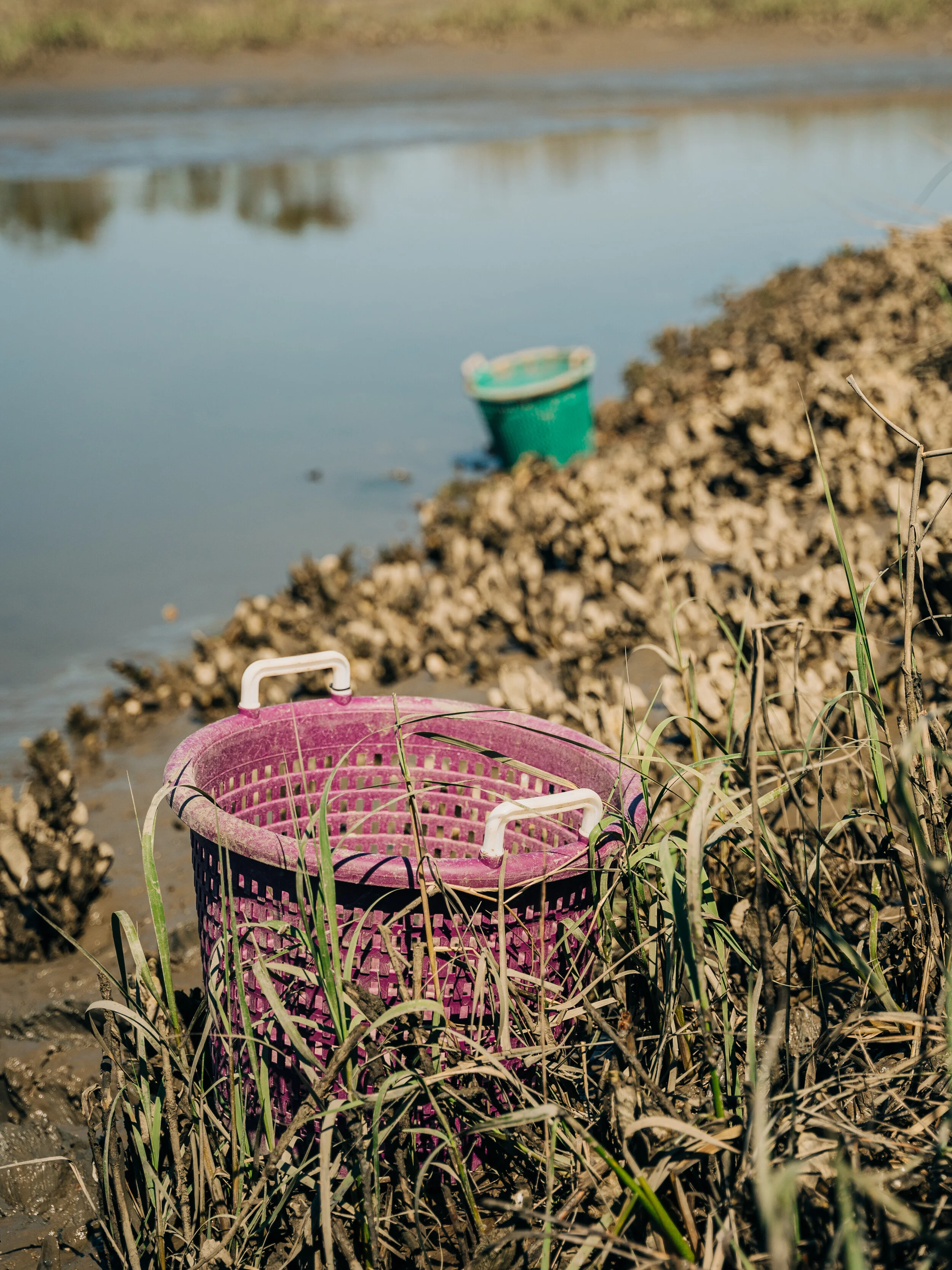 BIO-Builder-030921-48.jpg