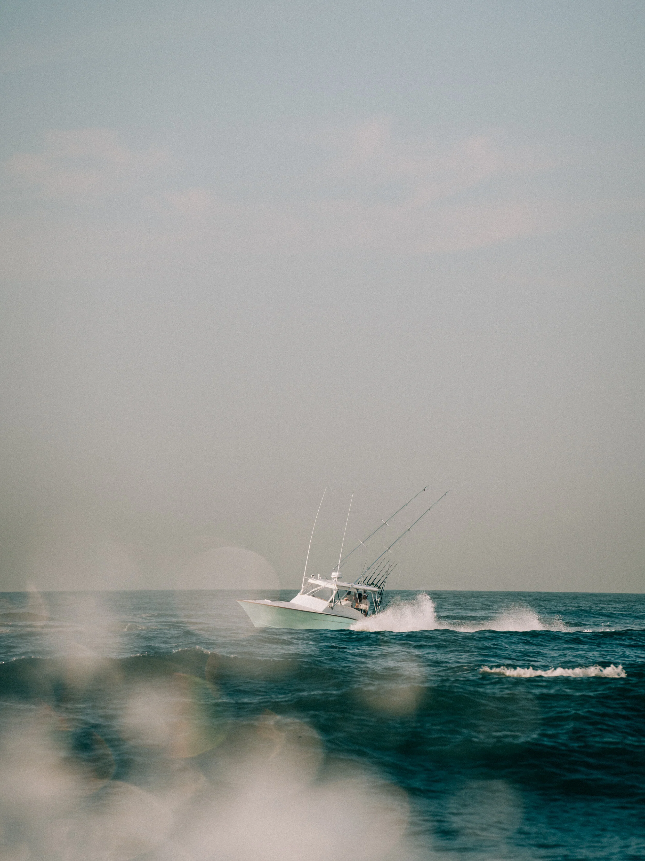 _A7R6086.jpg