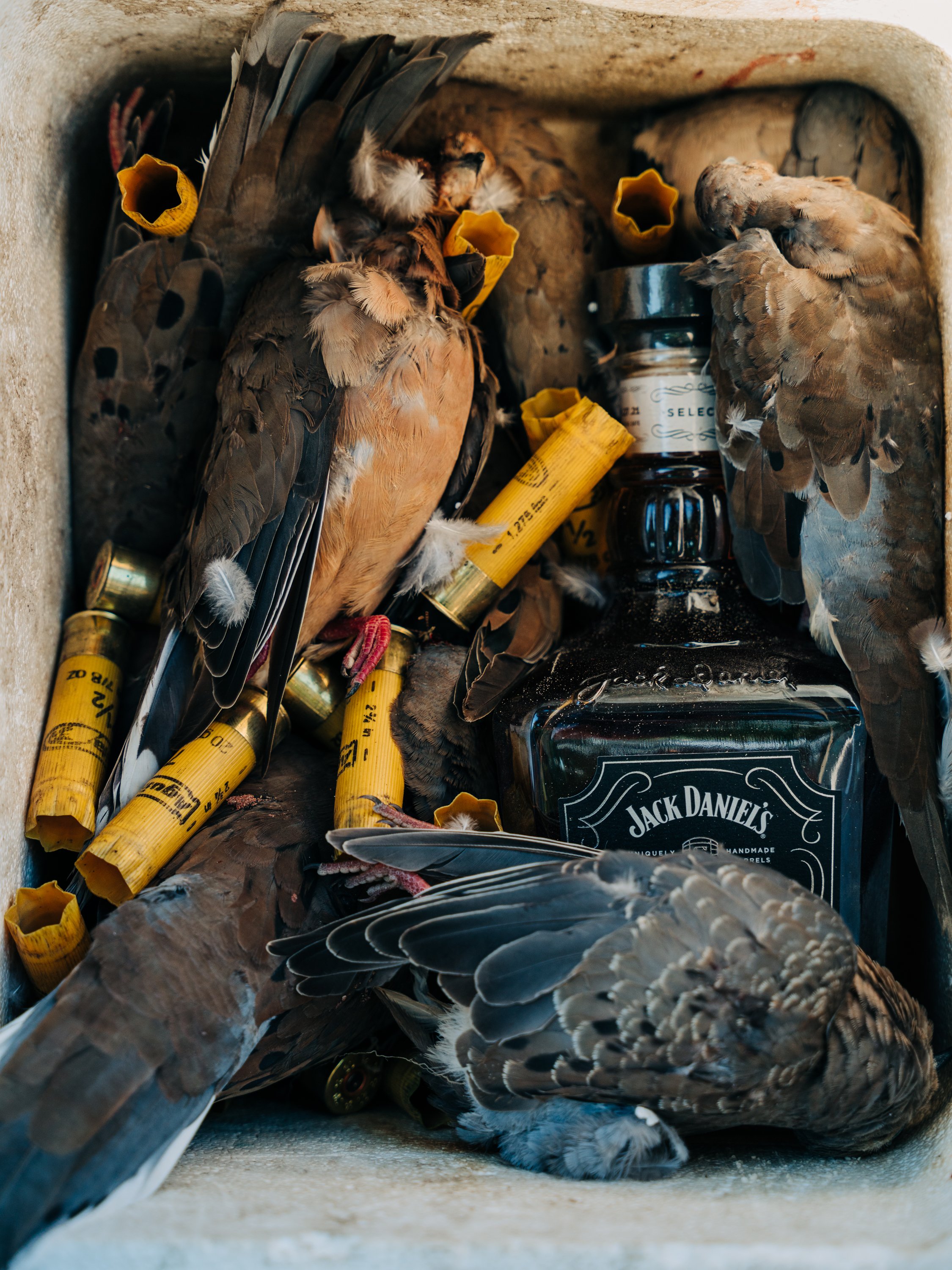 mwcf21-dove-builder-136.jpg