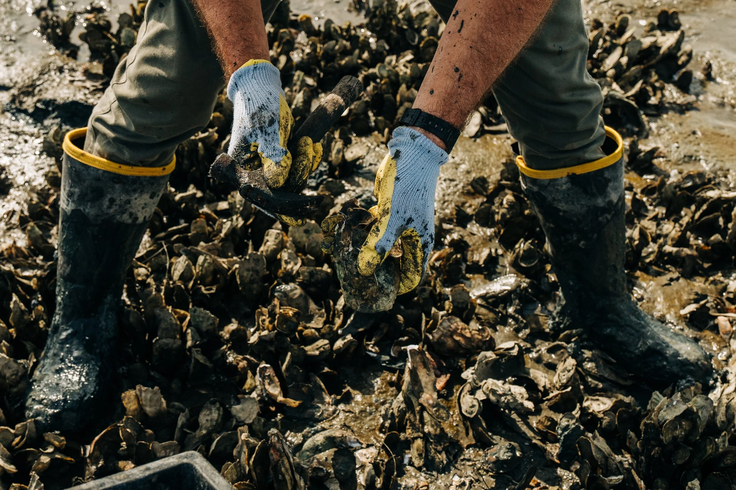 20220503-PB-Builder-Oysters-90.jpg