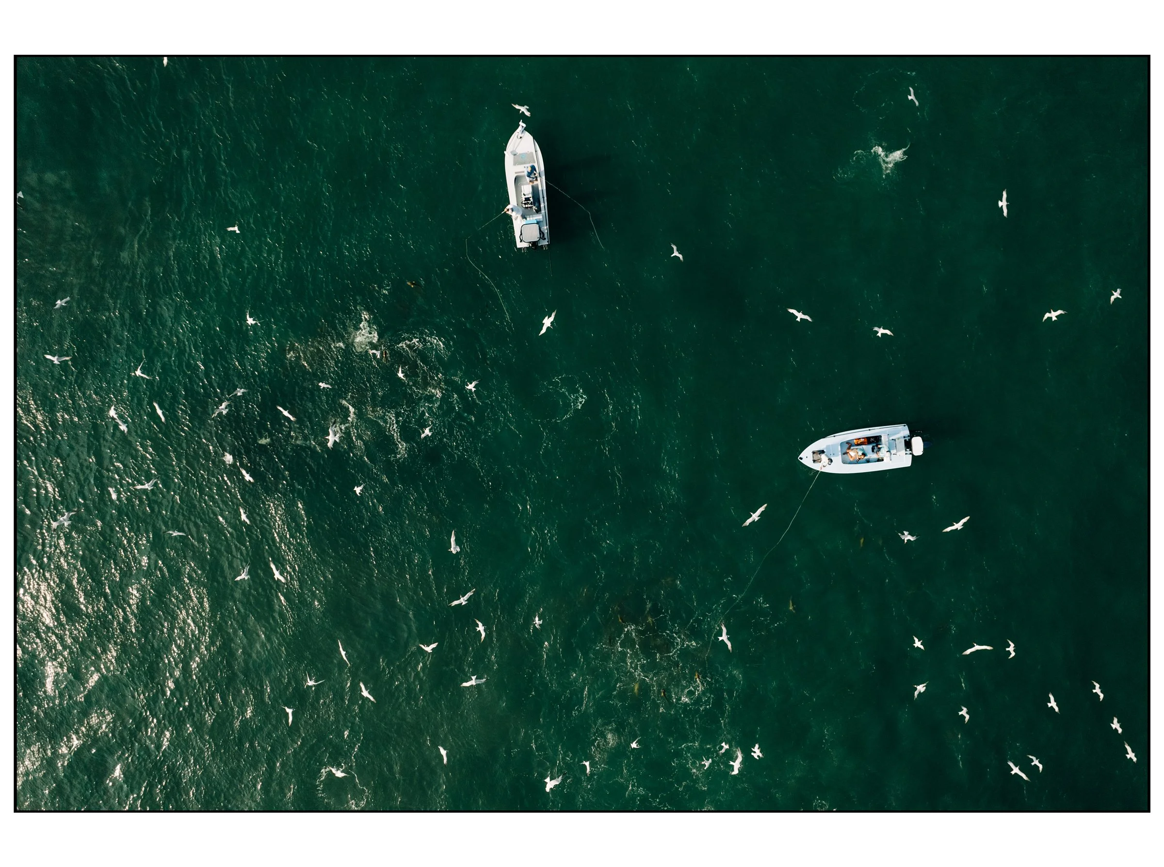 DJI_003a3-2.jpg
