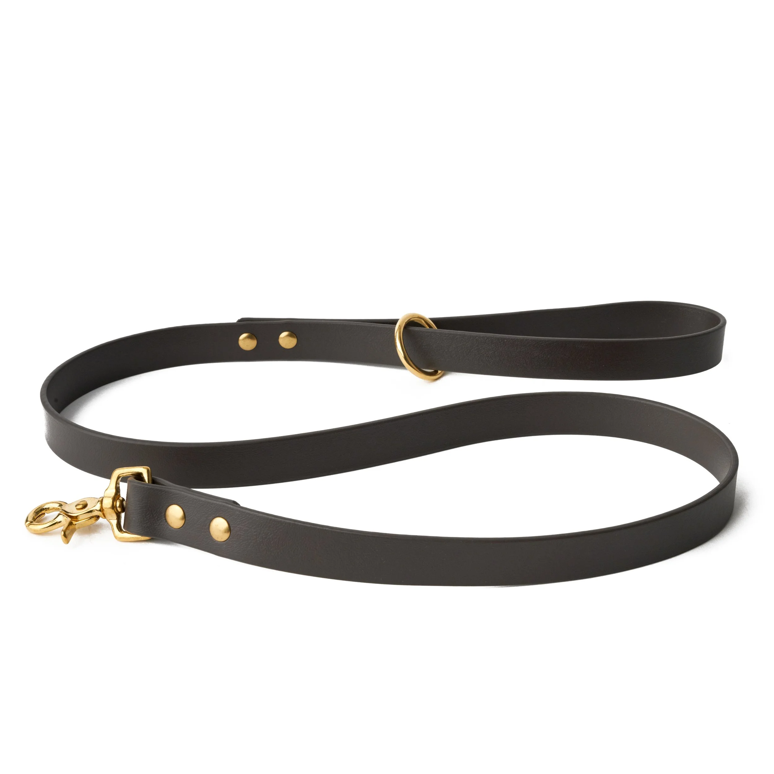 Dog-Leash-1.jpg