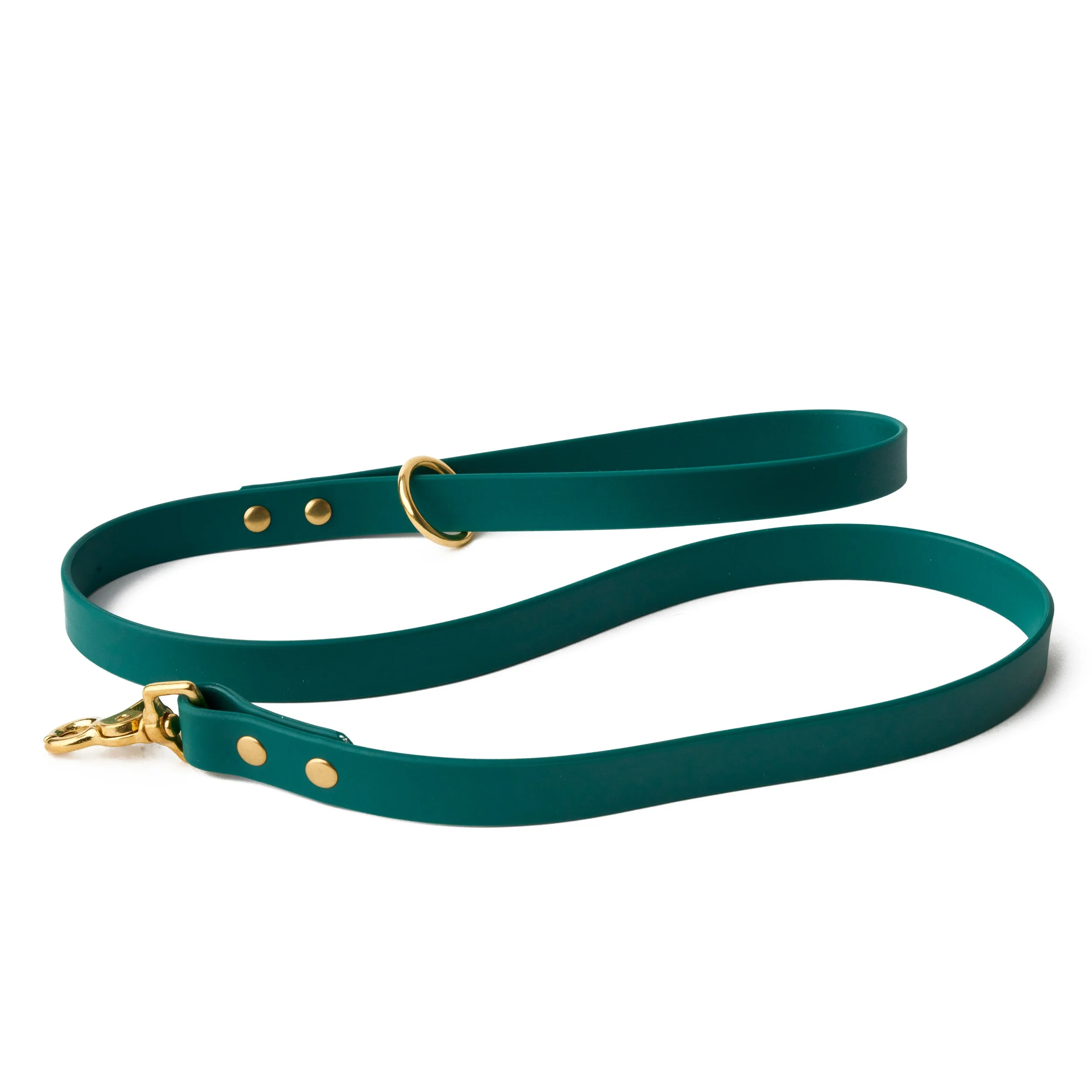 Dog-Leash-3.jpg