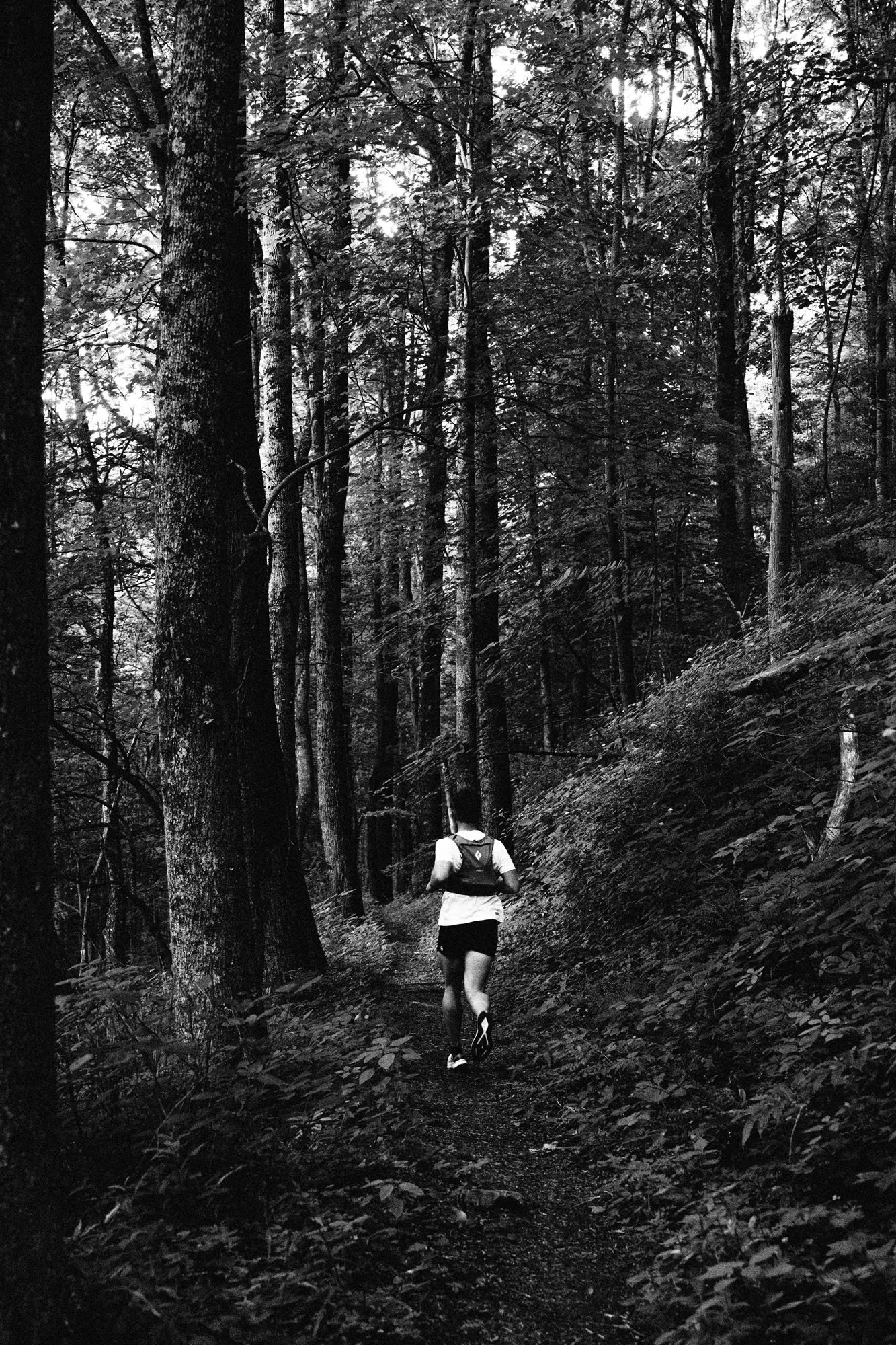 trail-run-wnc-jnelson-builder-043.jpg