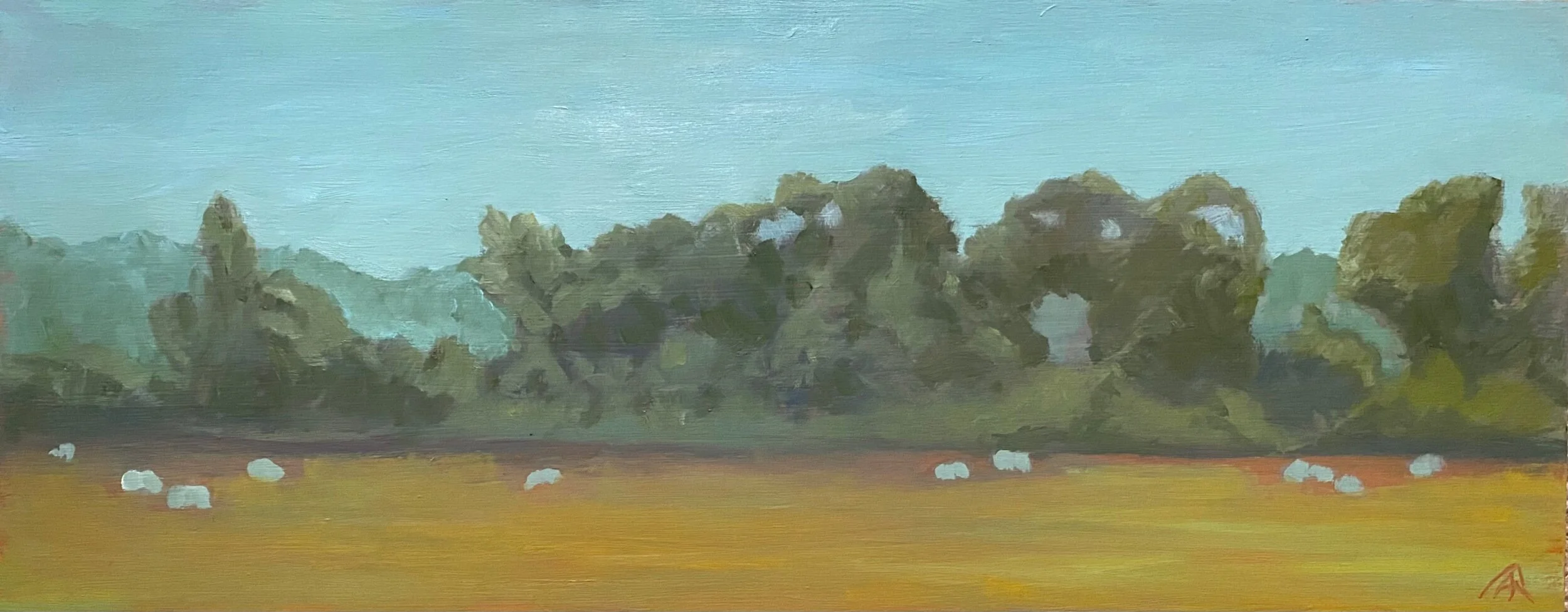 FFC2DE5C-2BFA-4592-B1BA-374934322398