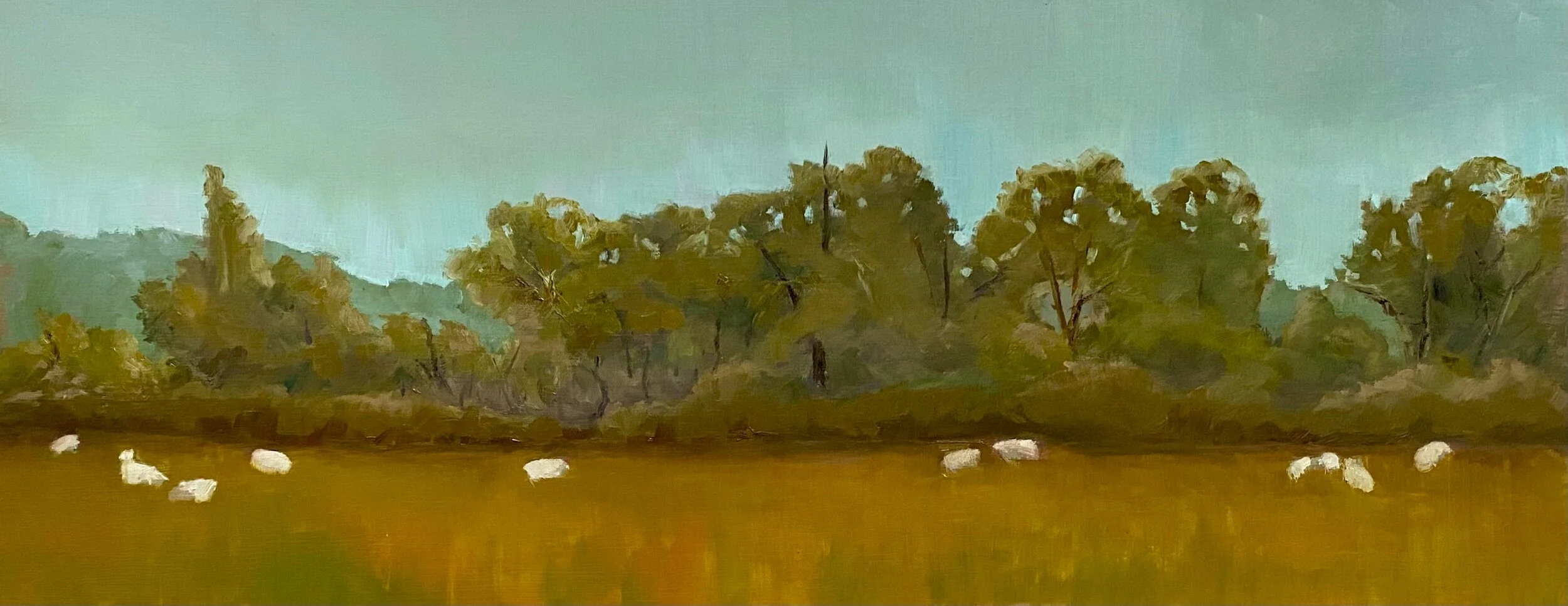 634D354F-50E3-4271-A638-0CC2FF60FD44