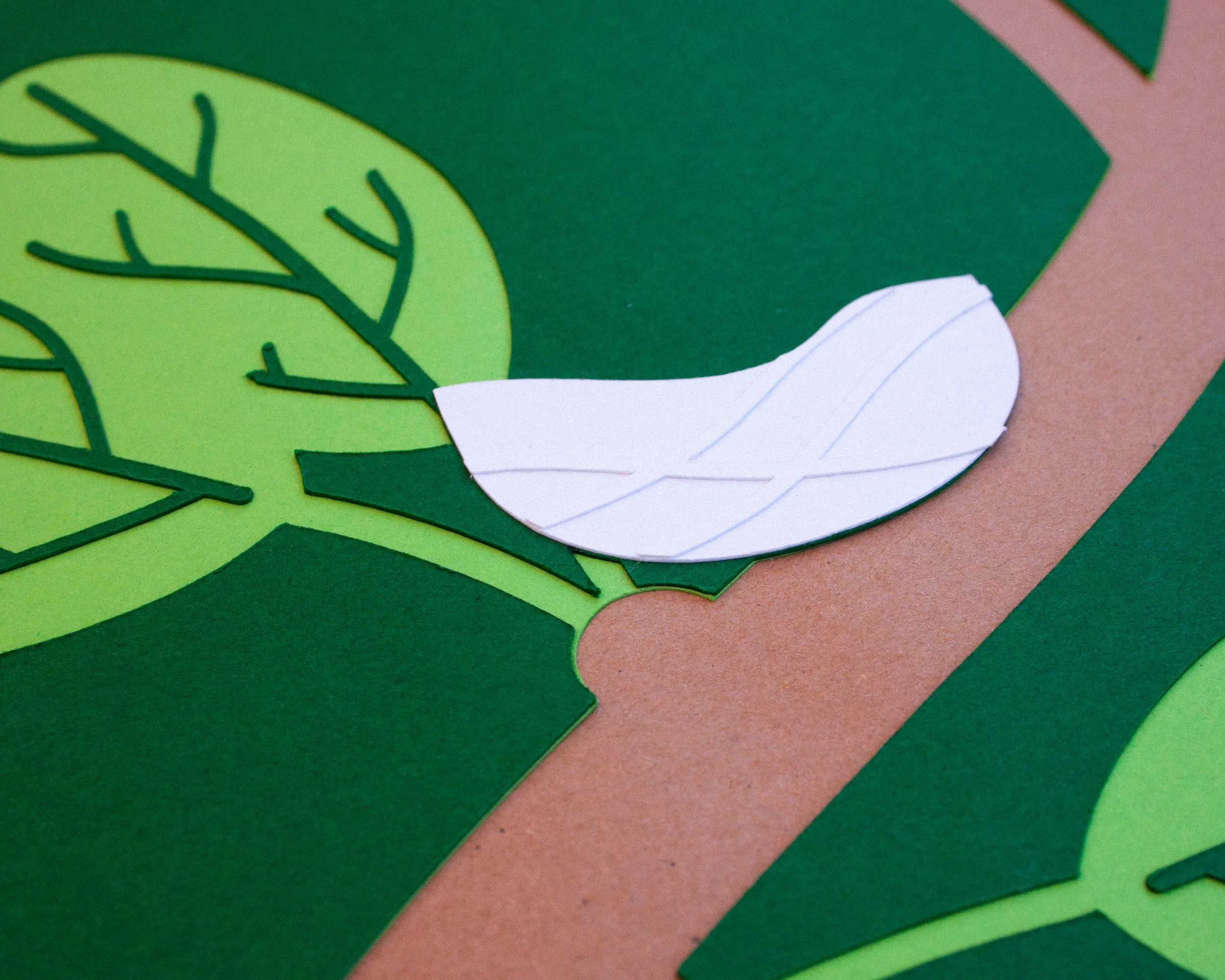 L'immagine è l'illustrazione semplificata del nido del colibrì nido tra i rami