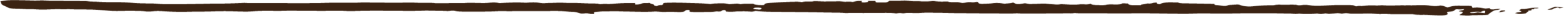 A narrow black paint brush stroke.