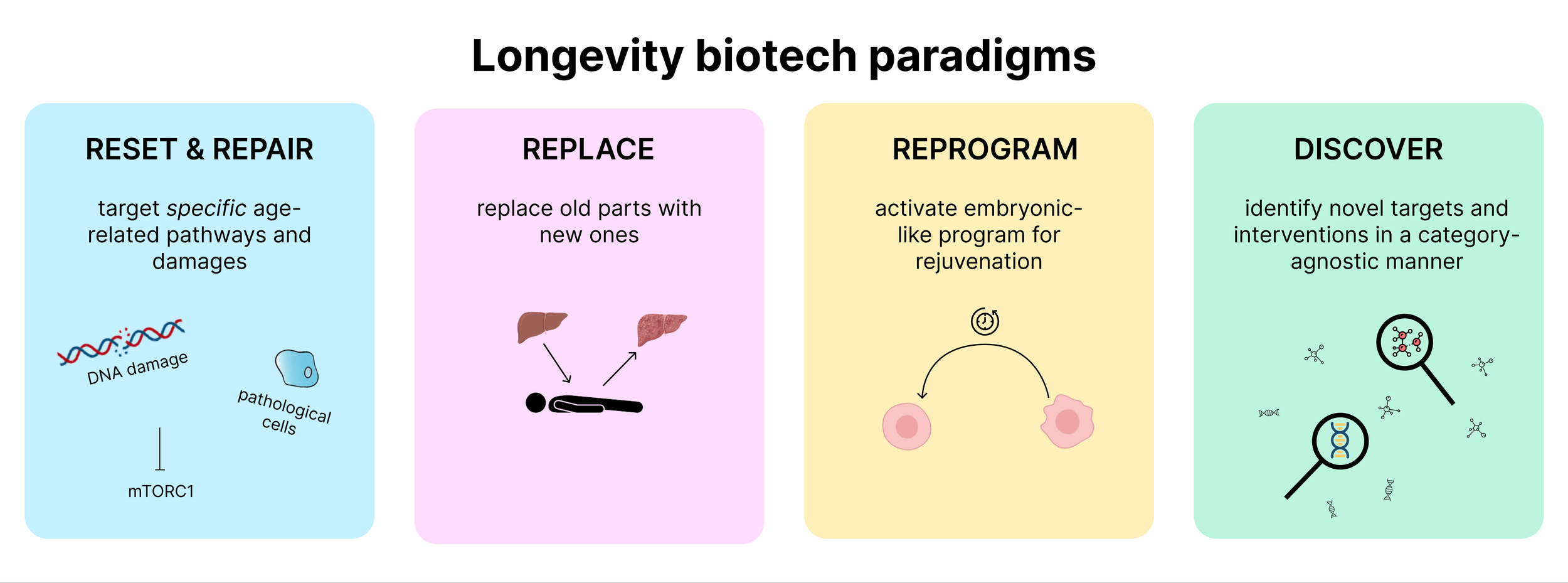 Longevity Biotech Landscape Ada Nguyen Longevity Biotech Landscape Ada Nguyen