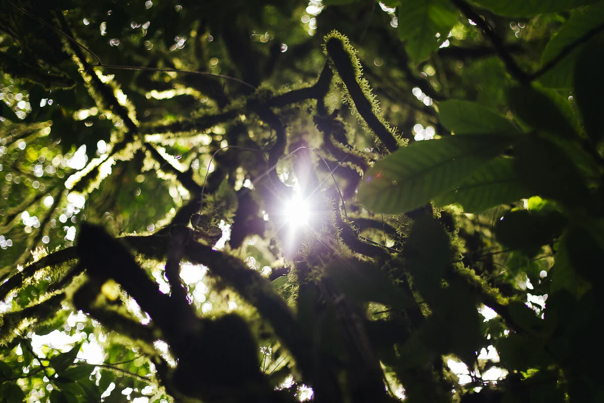 COSTARICA-45.jpg