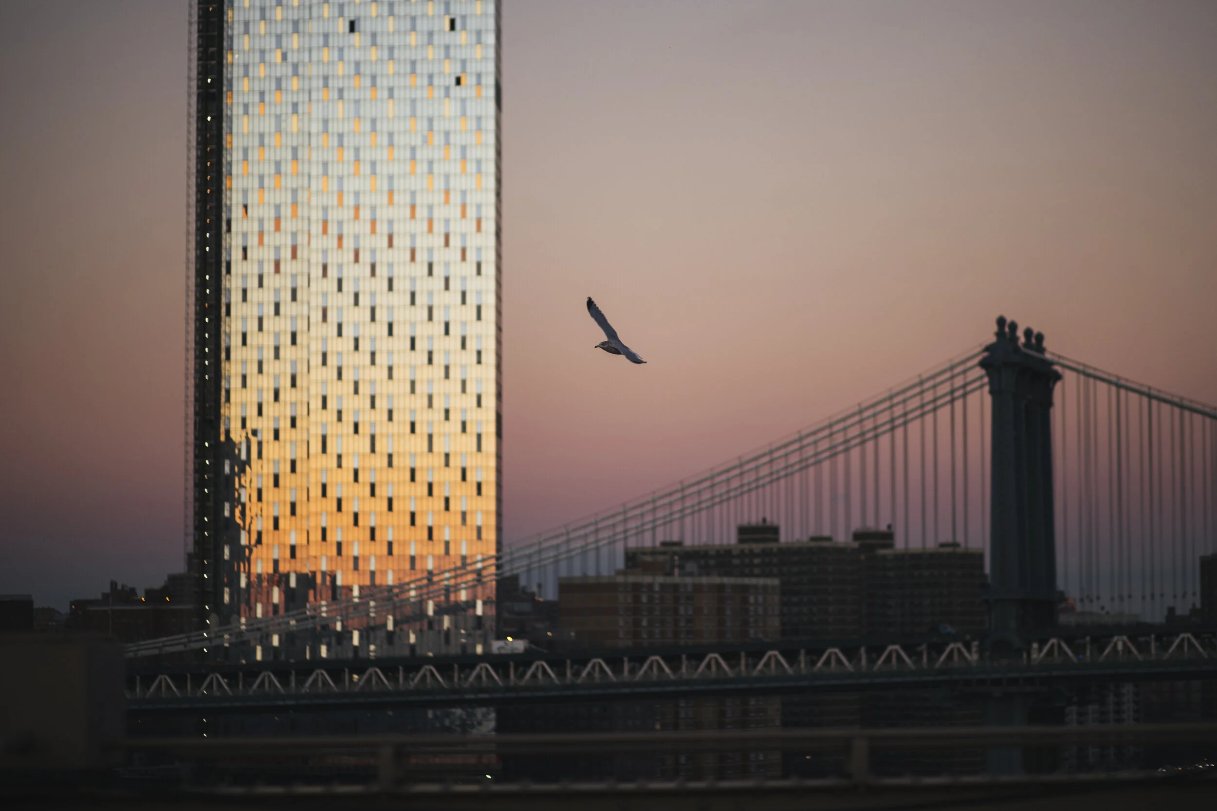 newyork-5-2.jpg