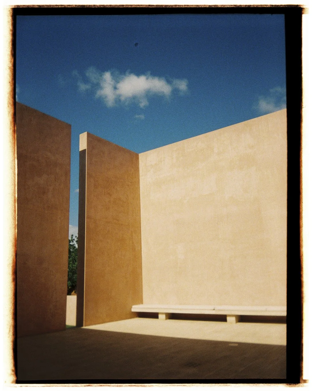 BodaCamiel-7.jpg