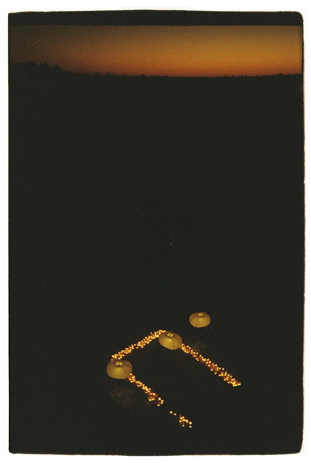 BodaCamiel-402.jpg