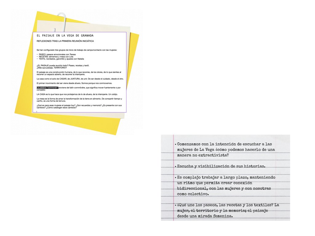diariodecampo_elenacamposcea.002.jpeg