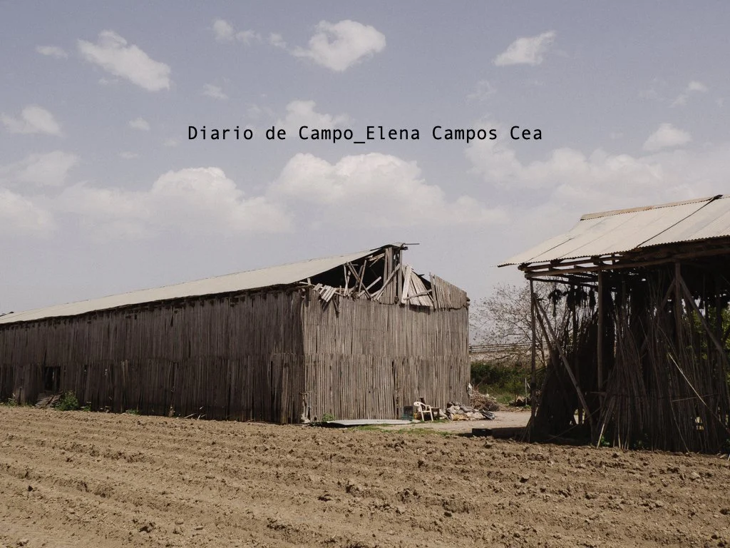 diariodecampo_elenacamposcea.001.jpeg