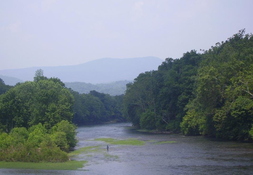 Image_1.jpg