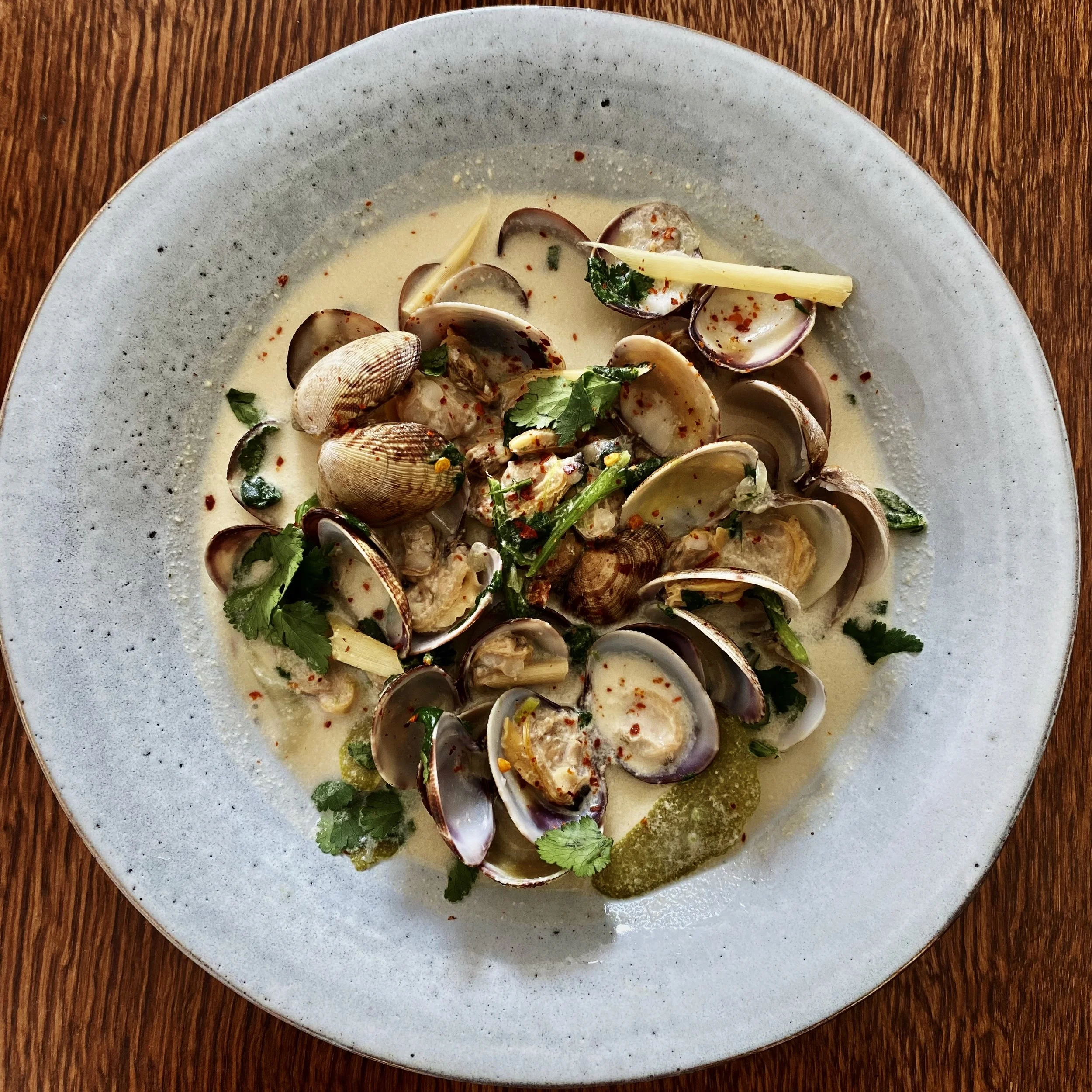 A seafood dish with clams in a creamy sauce garnished with herbs and red pepper flakes, served on a white ceramic plate on a wooden table.