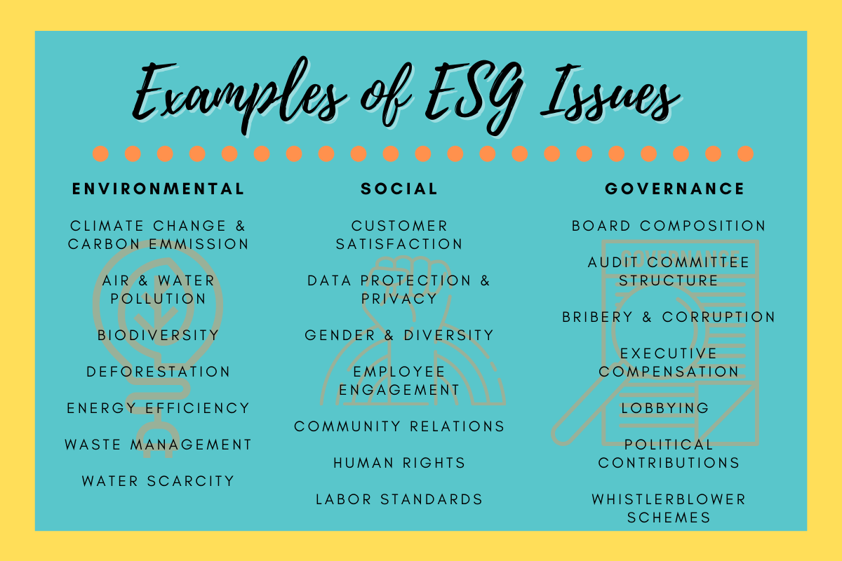 Examples of ESG issues.png