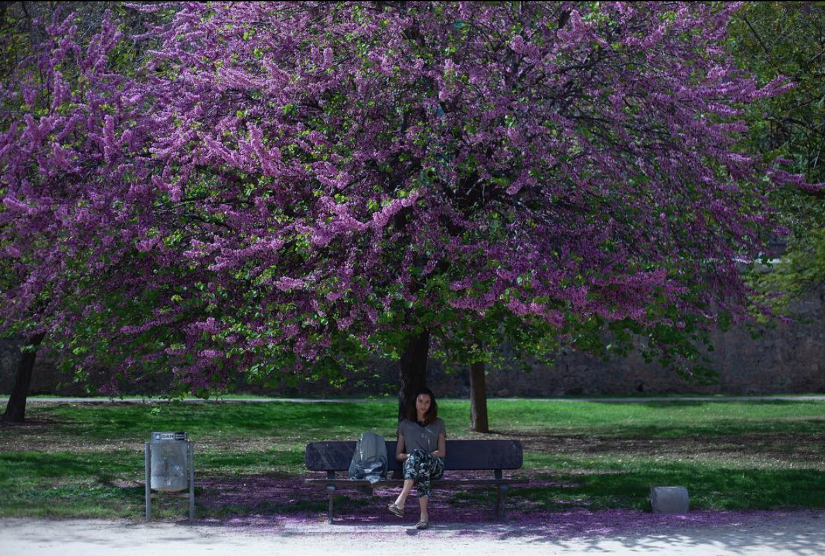 Screen Shot 2019-11-10 at 1.00.55 PM.png