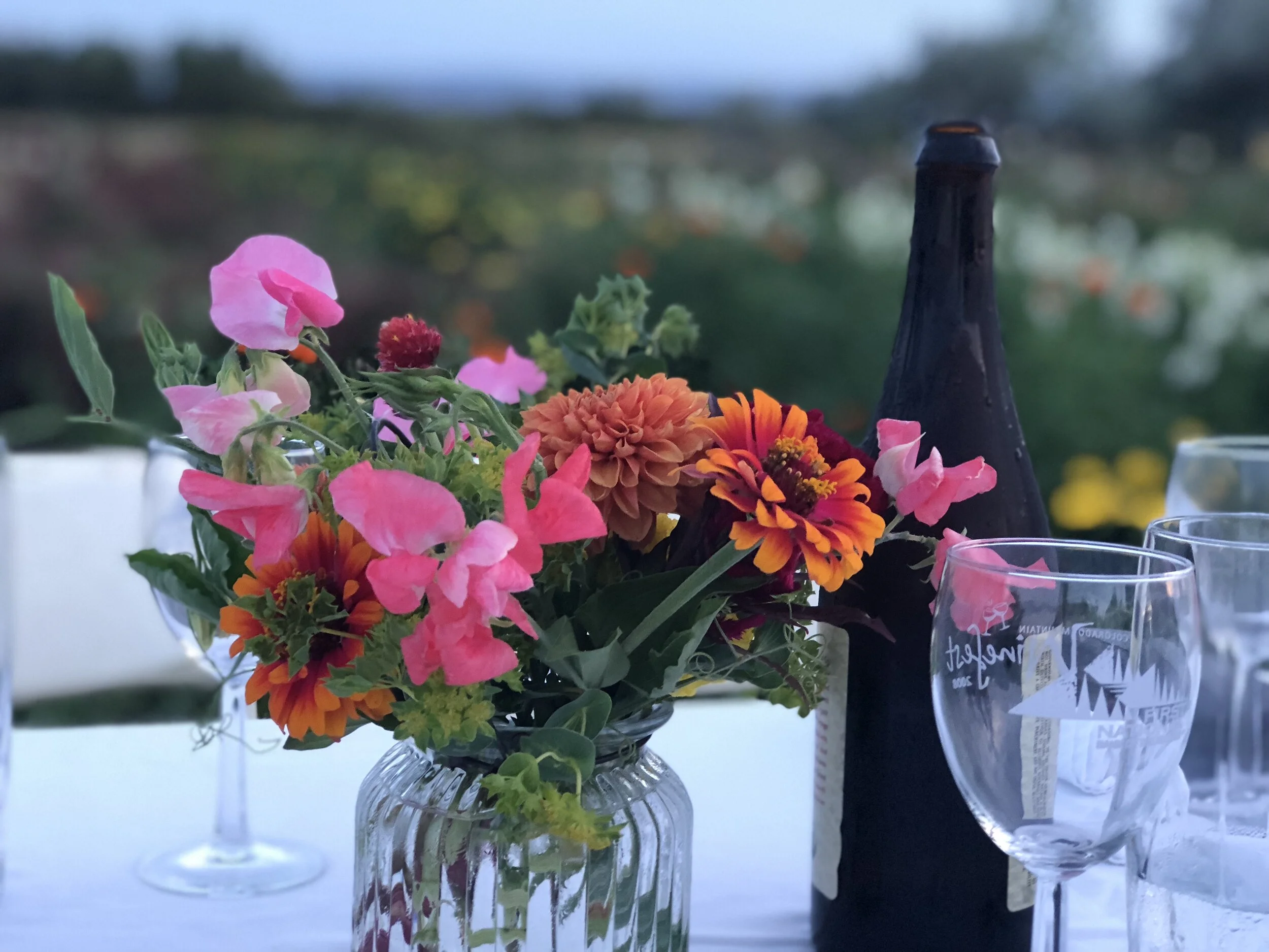 Daphne  Yannakakis - fullsizeoutput_1c27.jpeg