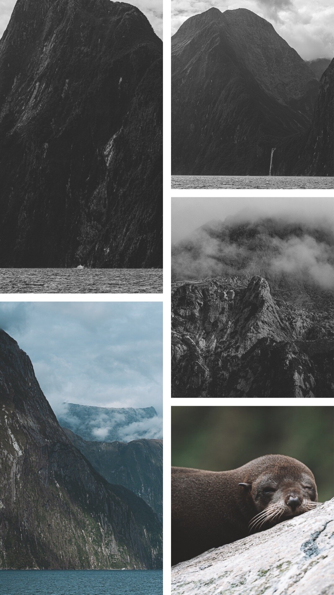 New Zealand Milford Sound