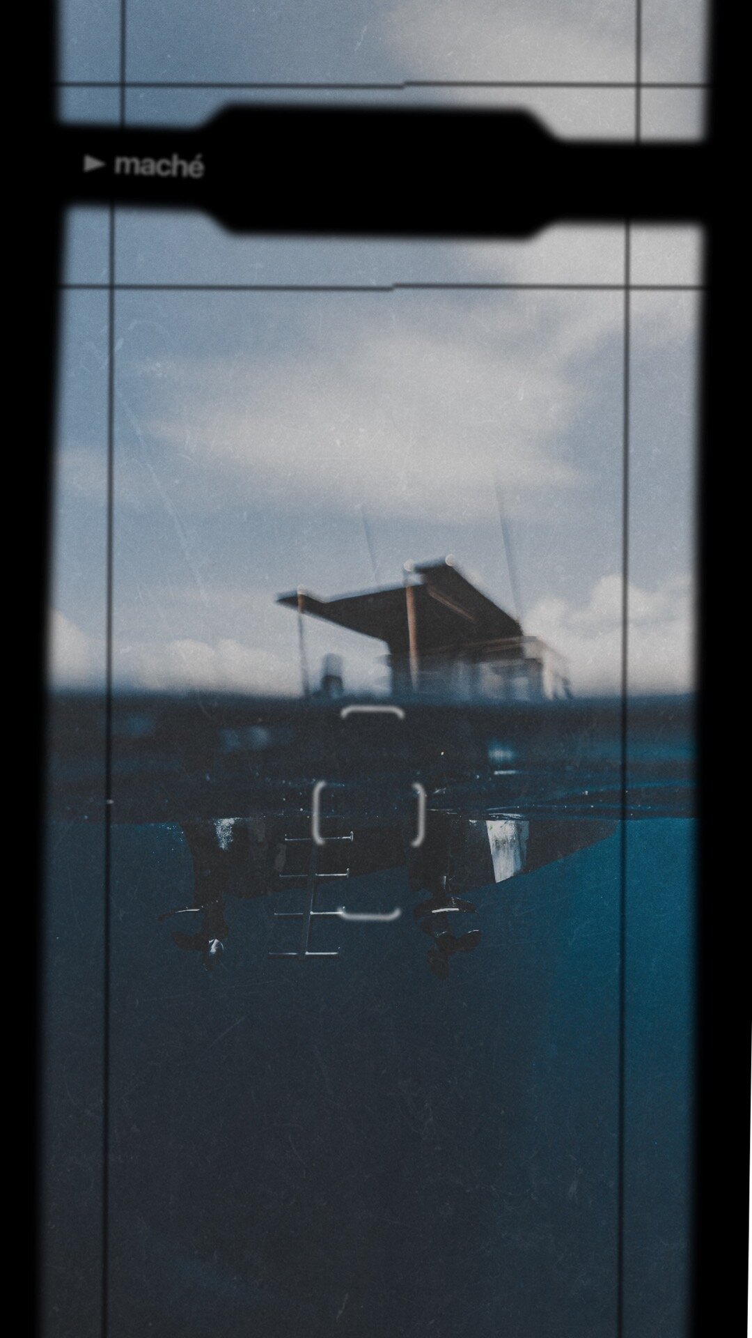 Swim with Whales Tonga