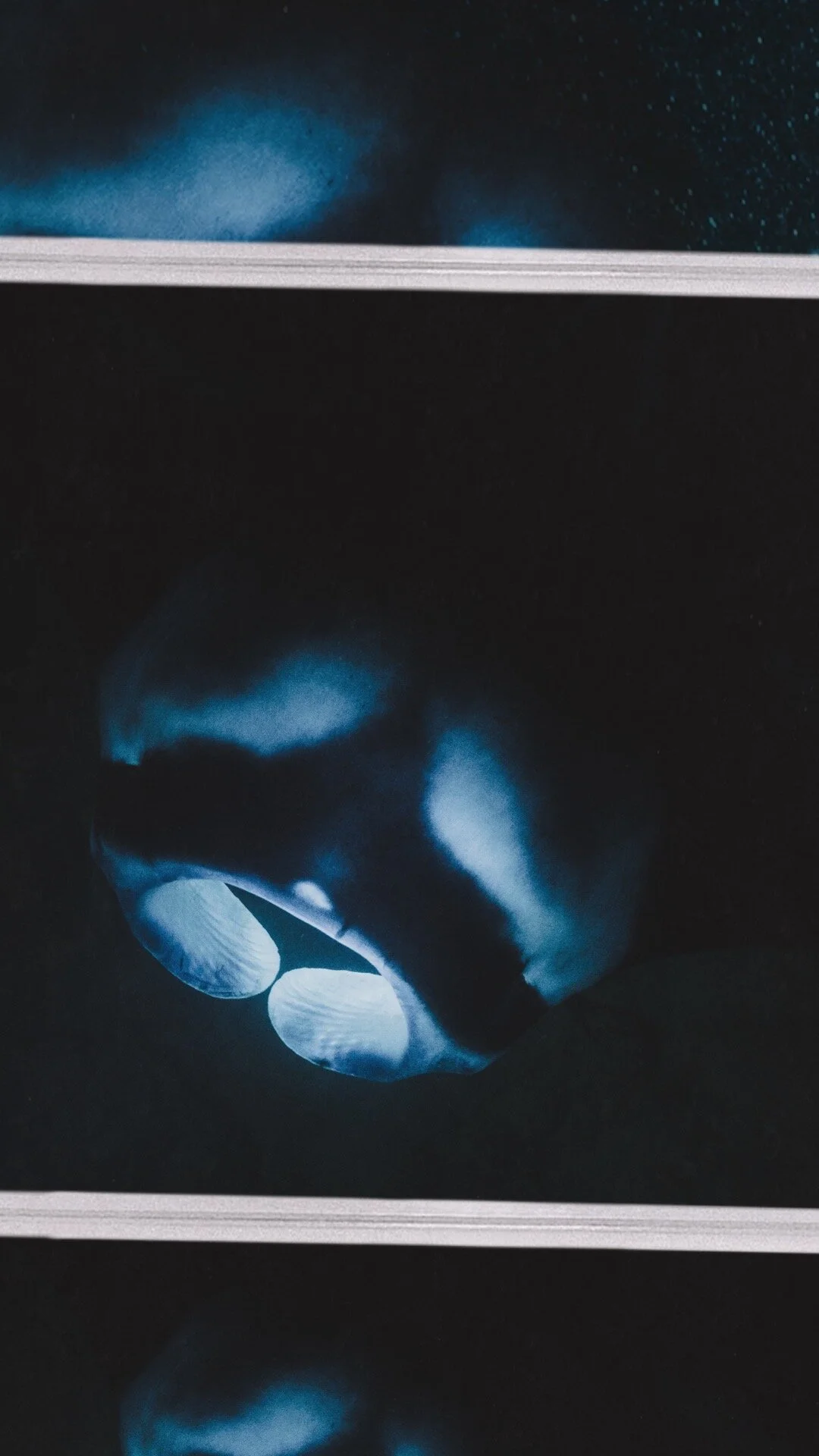 Manta Ray Hawaii