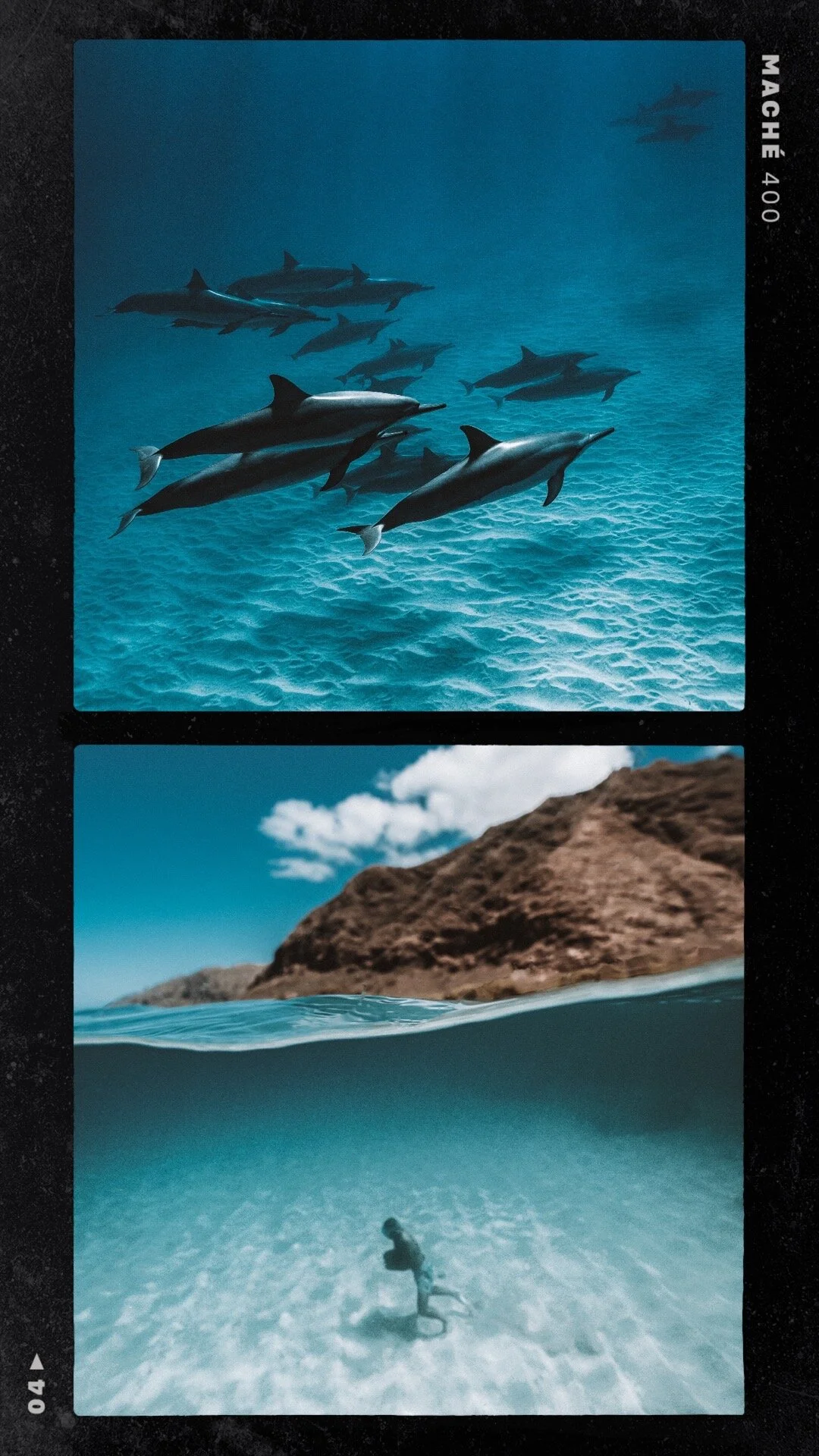 Spinner dolphin Hawaii